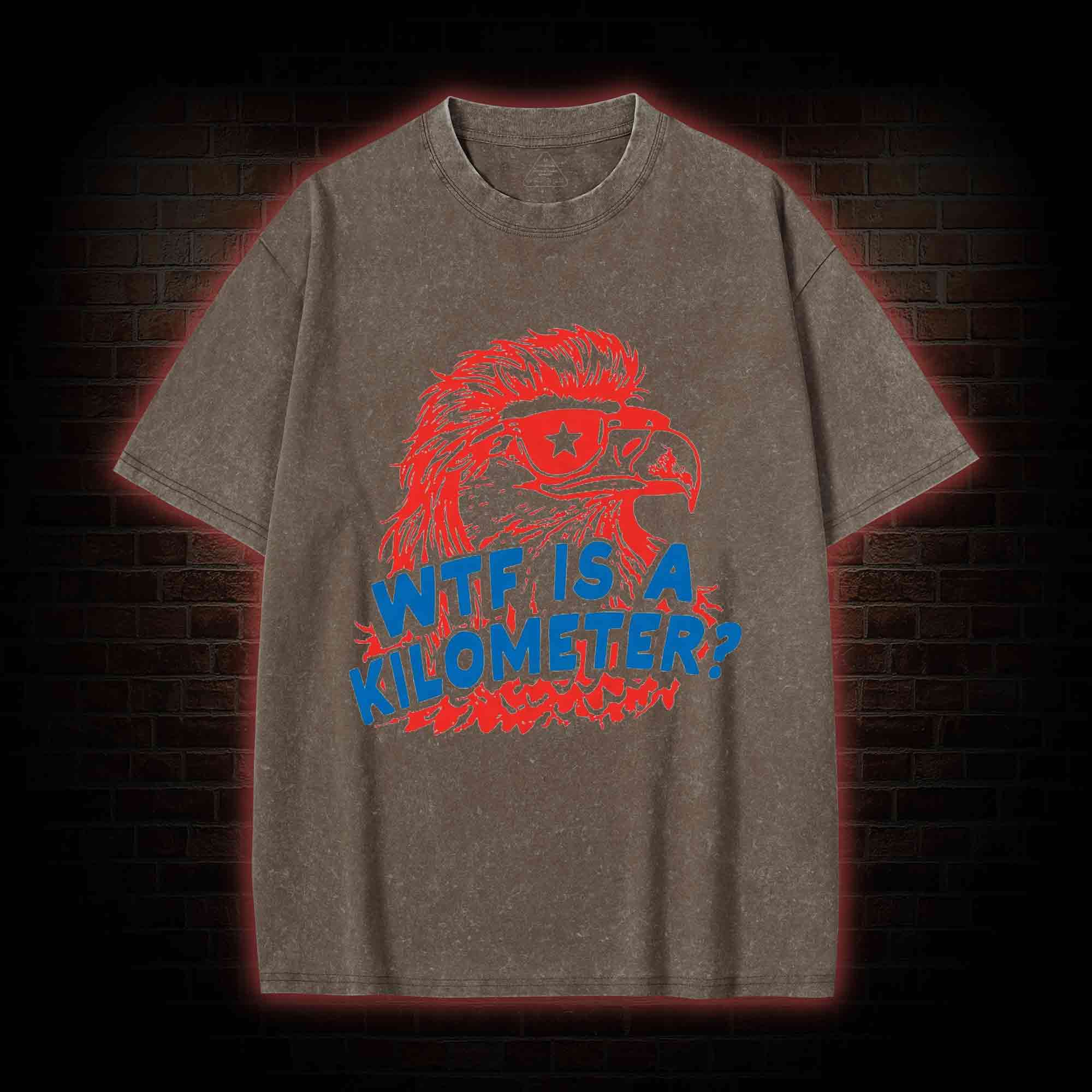 WTF is A Kilometer Washed T-shirt