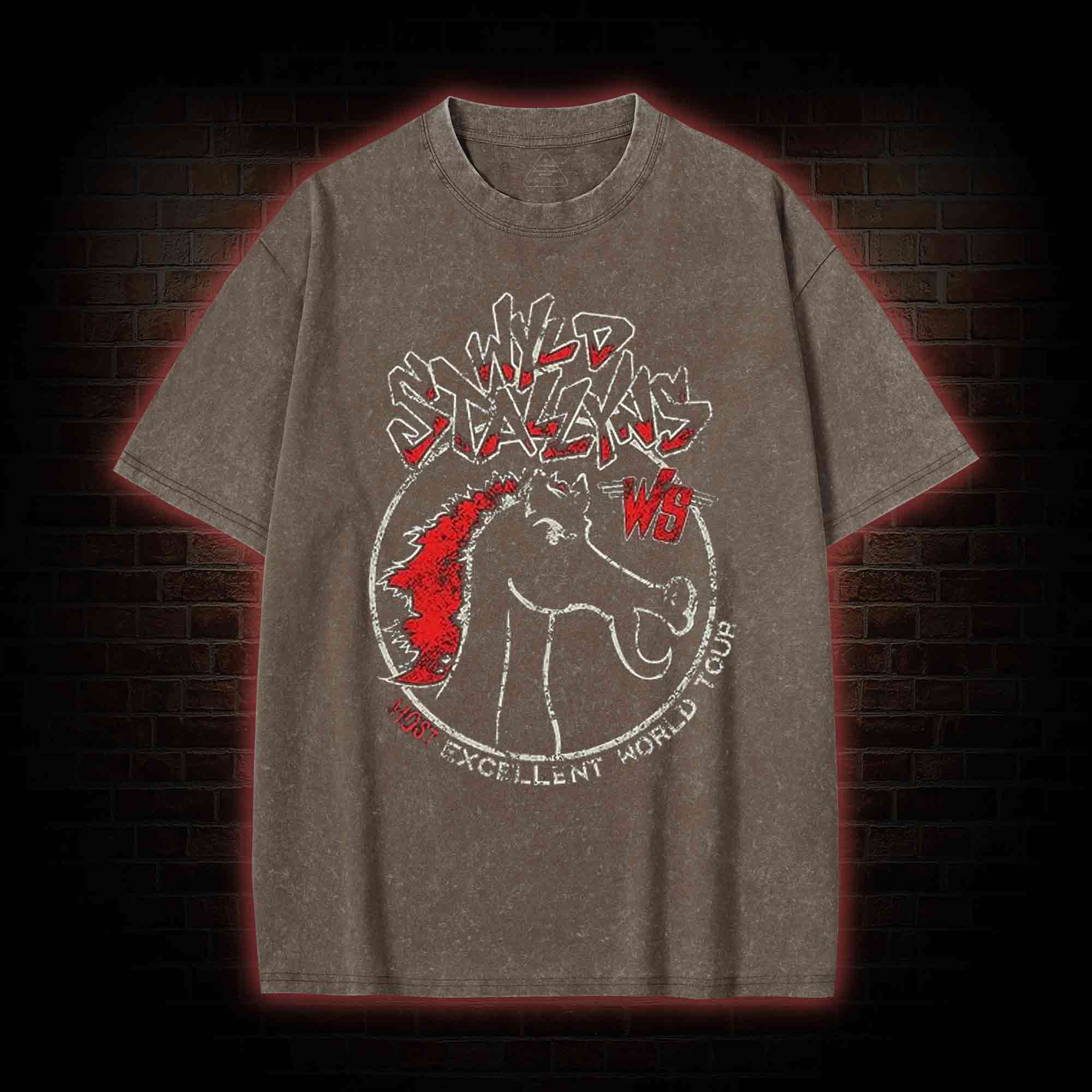 Wild Stallyns will Save the World Washed T-shirt
