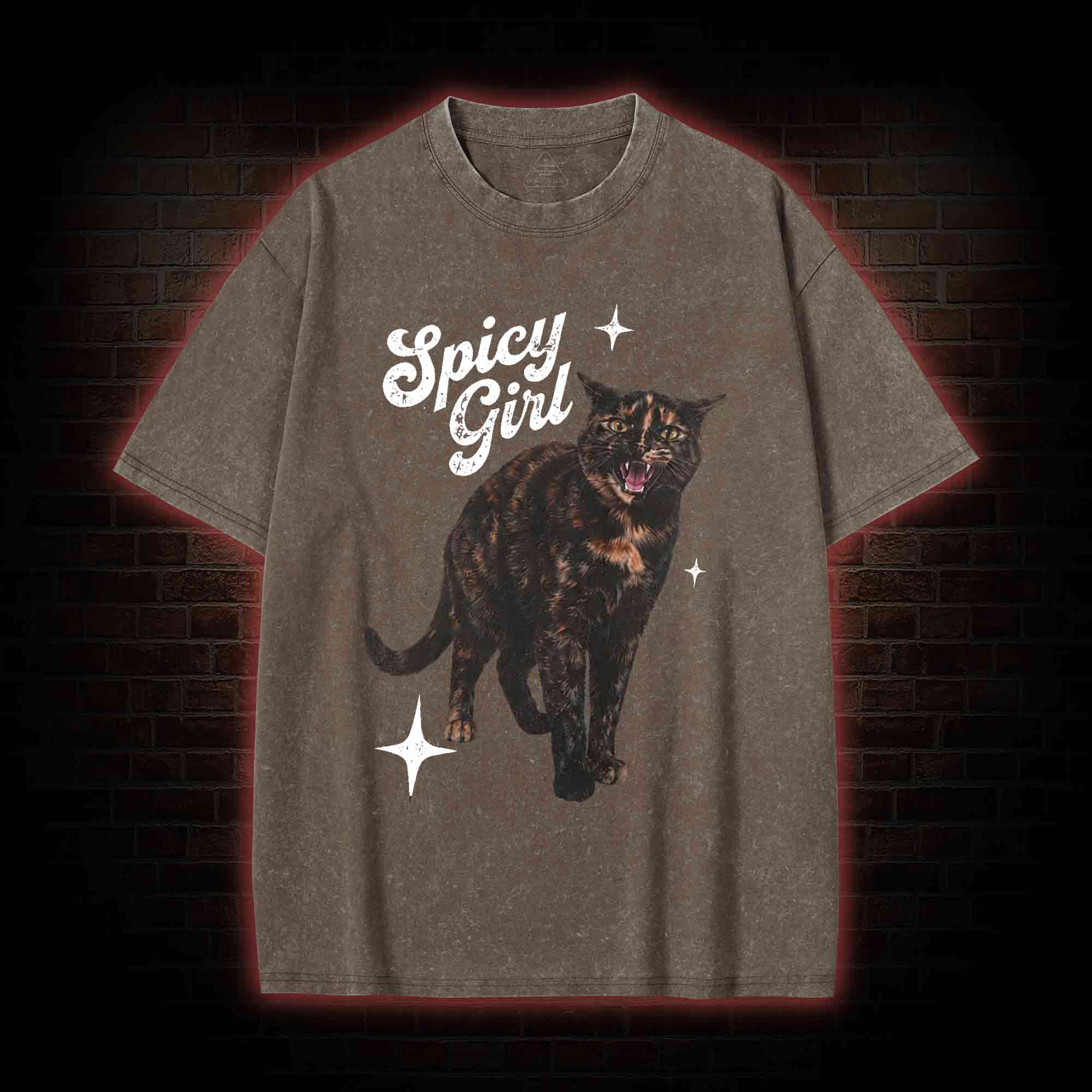 Spicy Girl Washed T-shirt