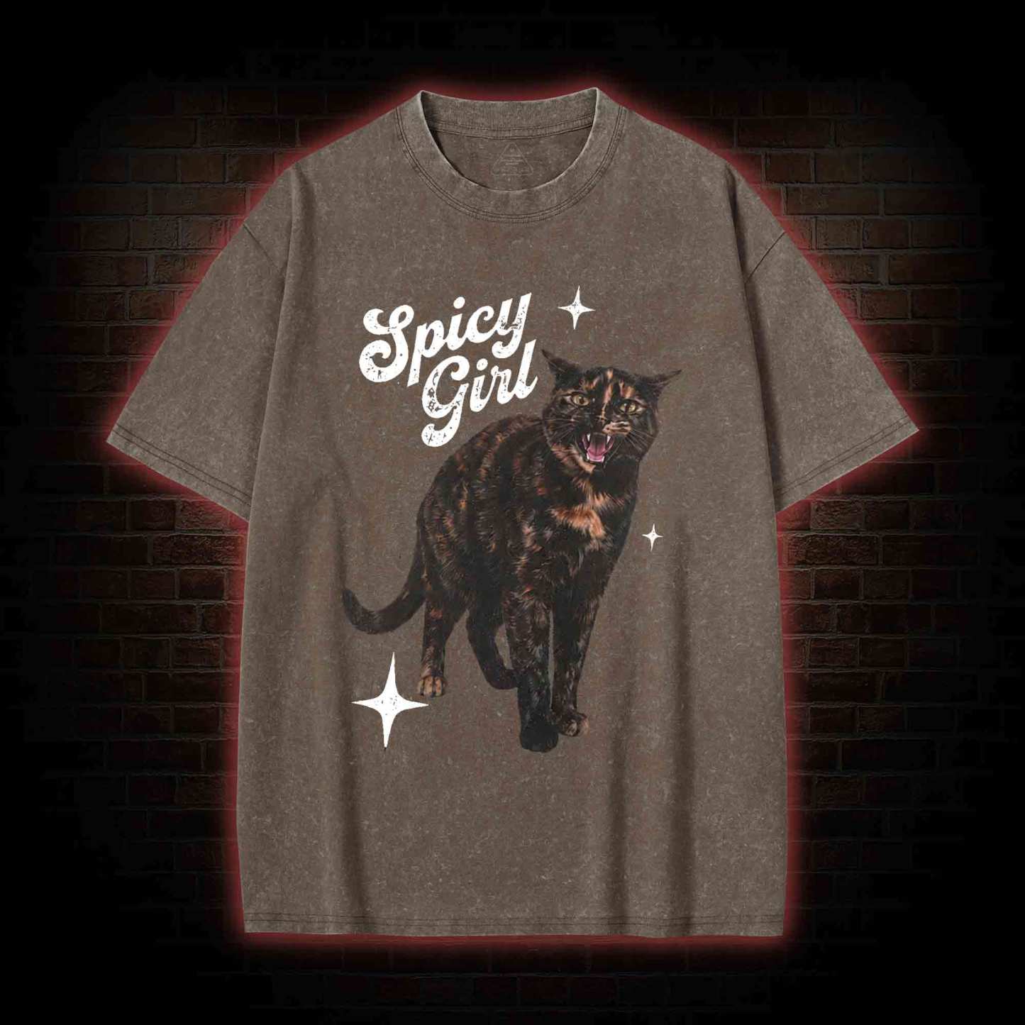 Spicy Girl Washed T-shirt