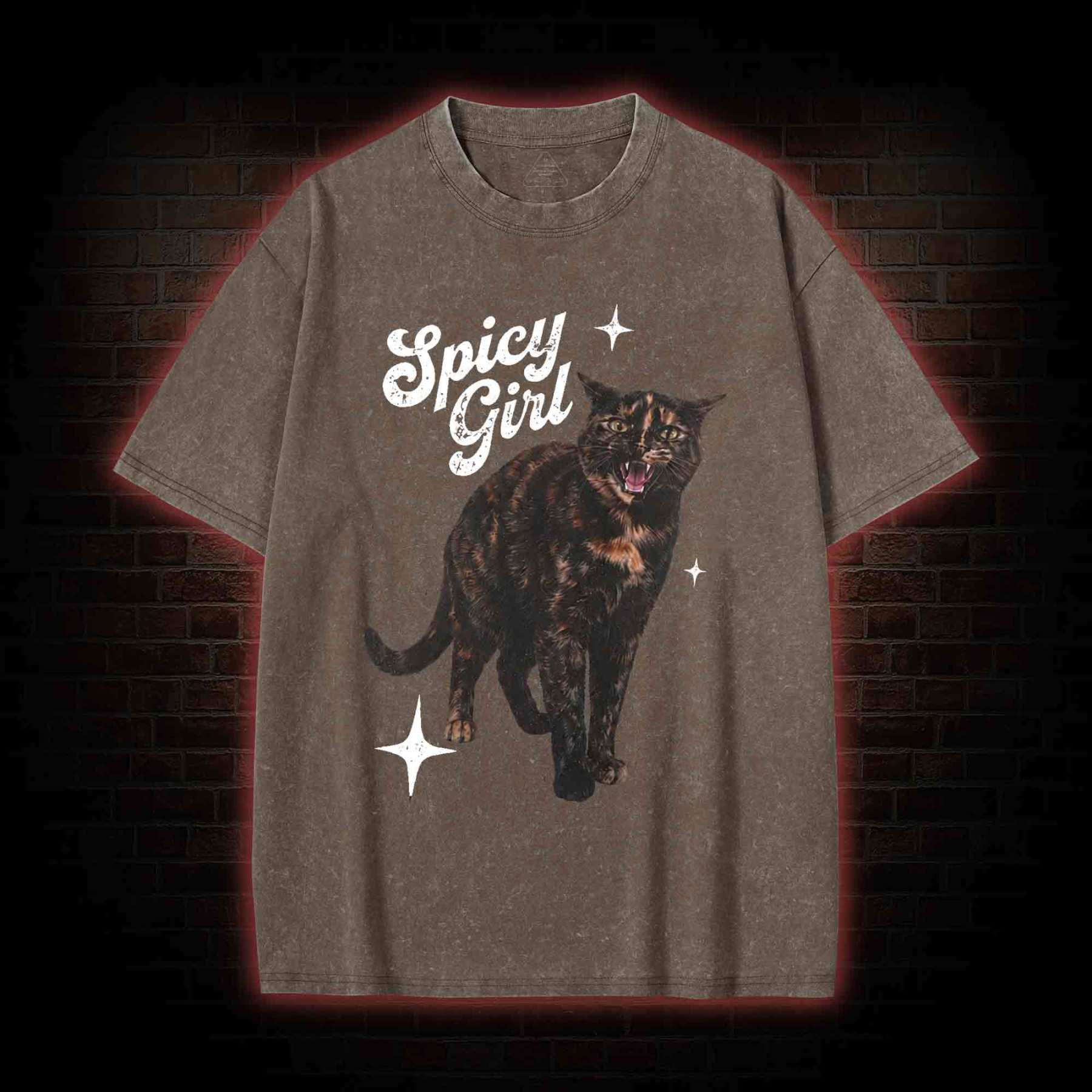 Spicy Girl Washed T-shirt