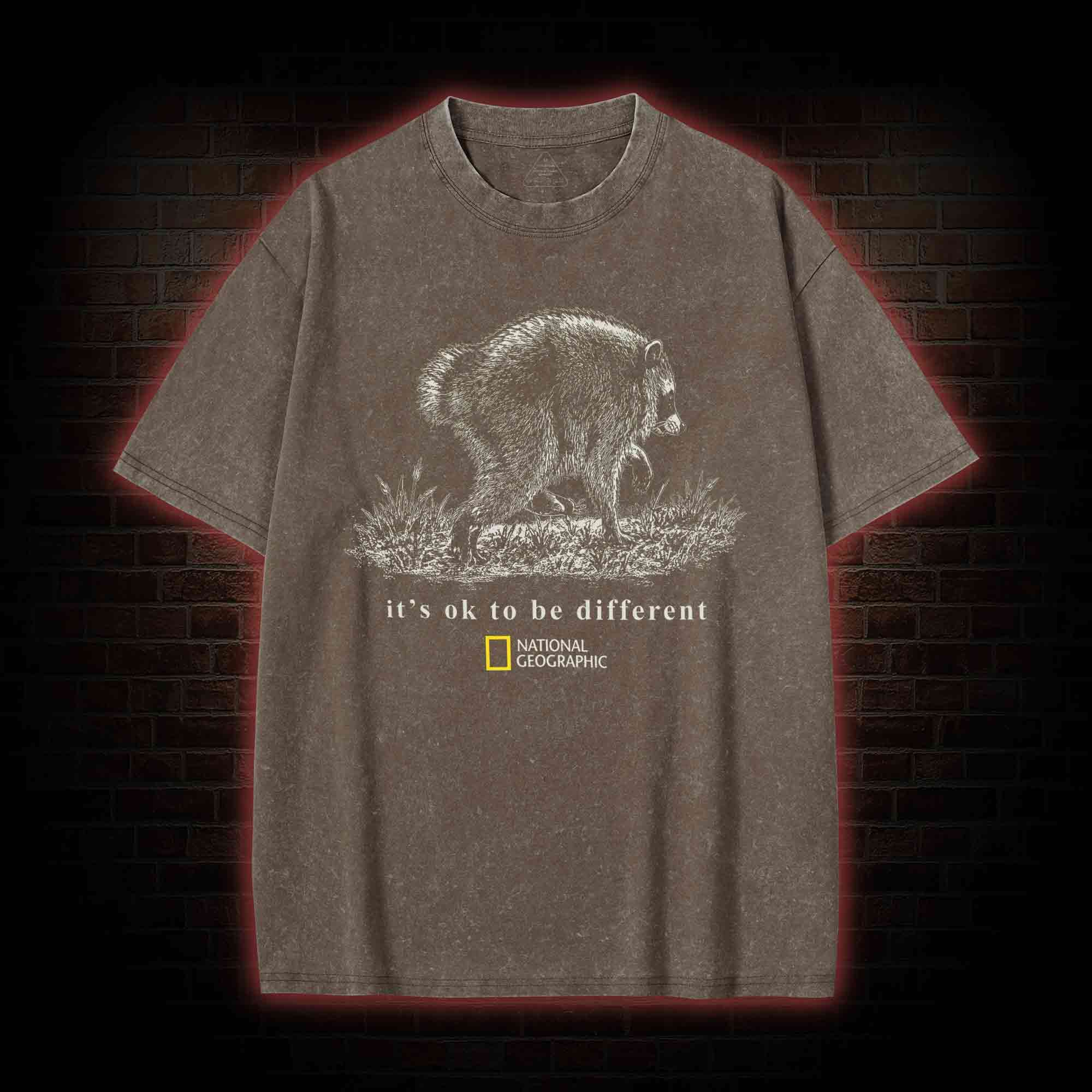 It's Ok to be Different Jimothy Washed T-shirt
