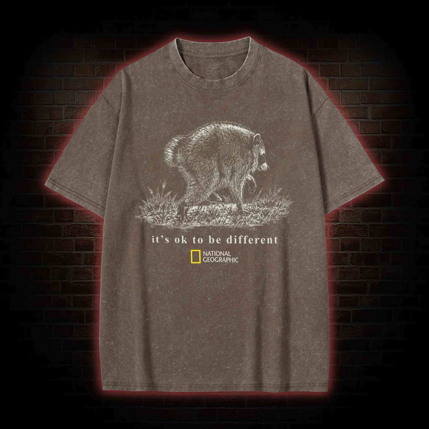 It's Ok to be Different Jimothy Washed T-shirt