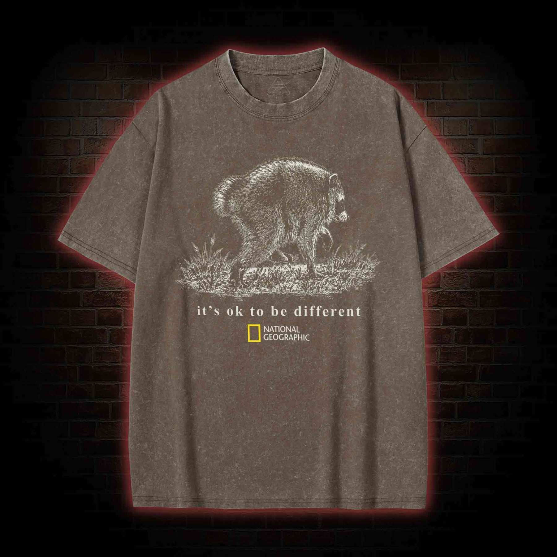 It's Ok to be Different Jimothy Washed T-shirt