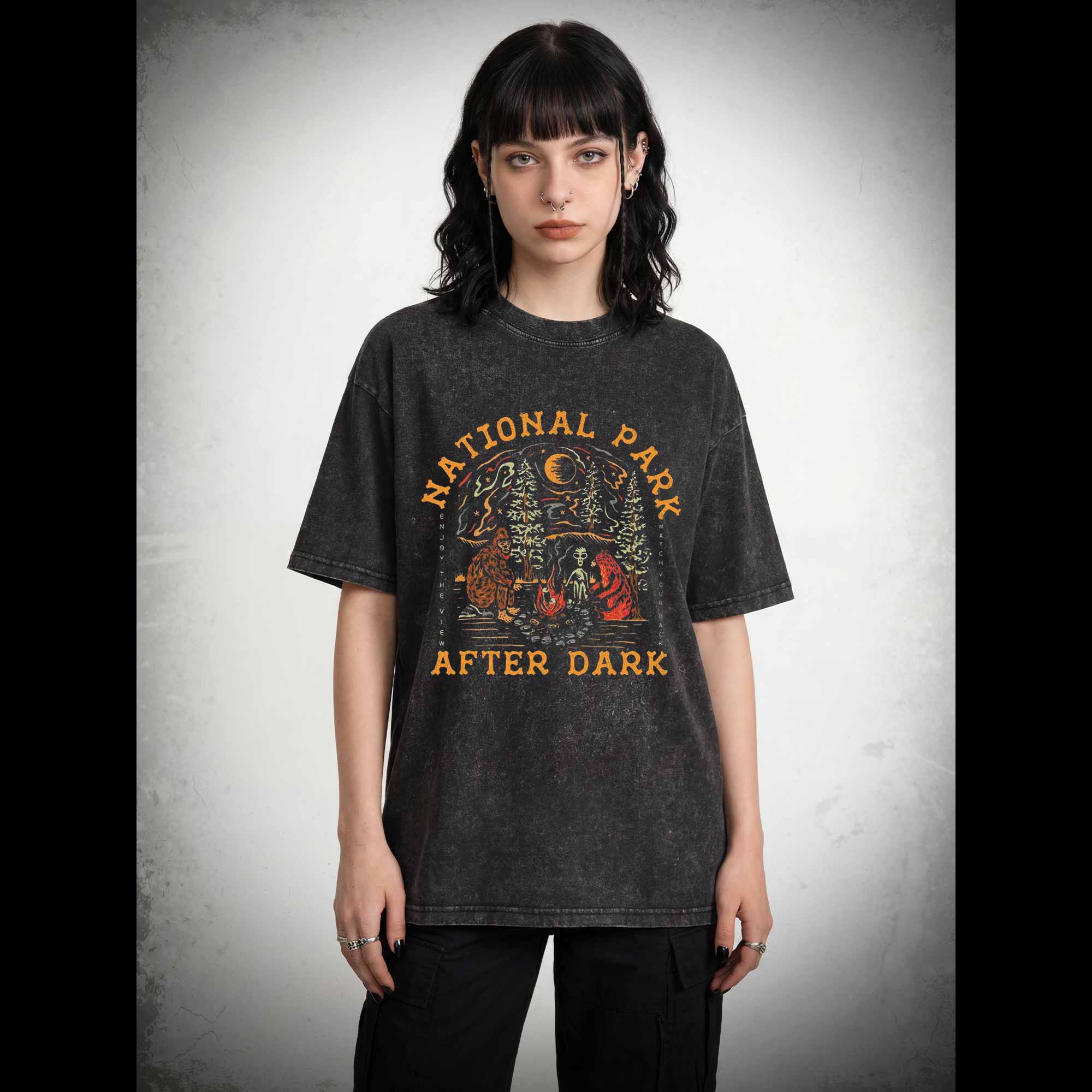 National Park After Dark Washed T-shirt