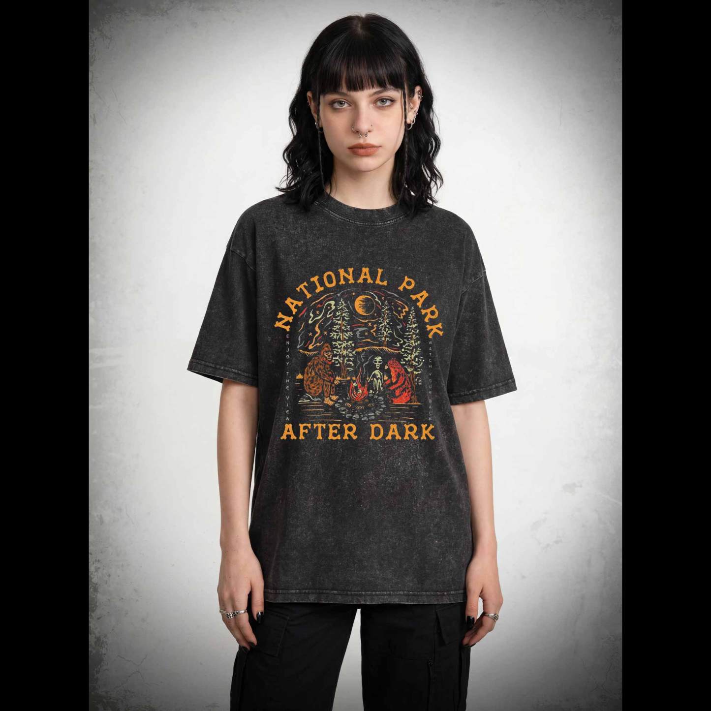 National Park After Dark Washed T-shirt