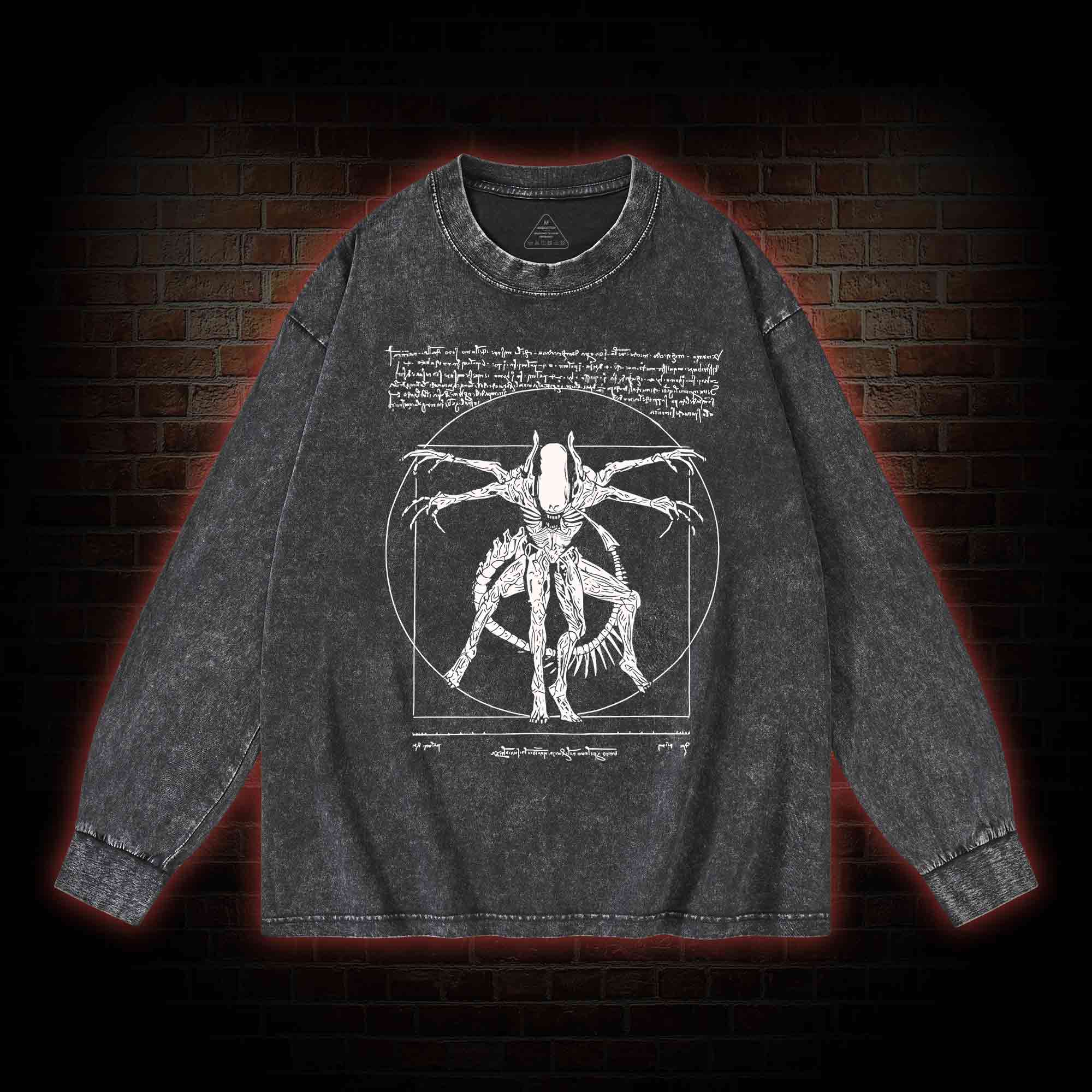 Alien Washed Long-Sleeve T-shirt