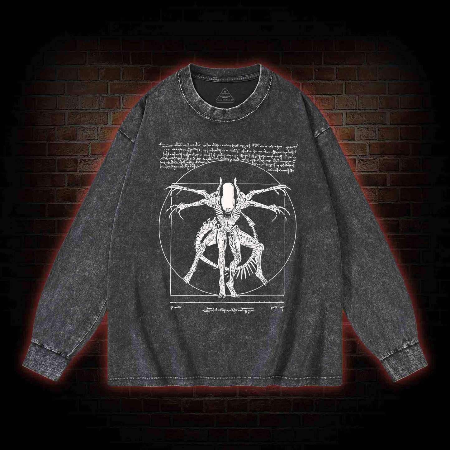 Alien Washed Long-Sleeve T-shirt