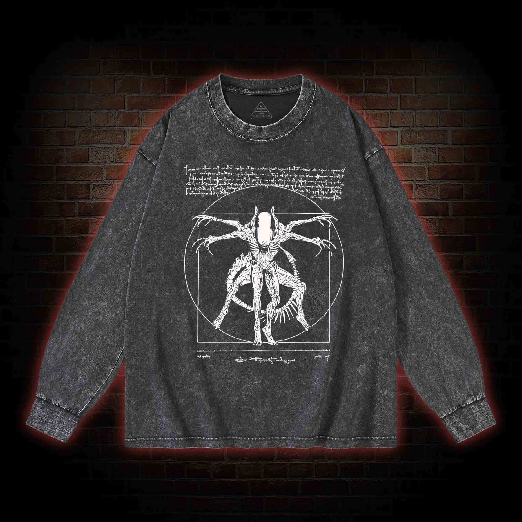 Alien Washed Long-Sleeve T-shirt