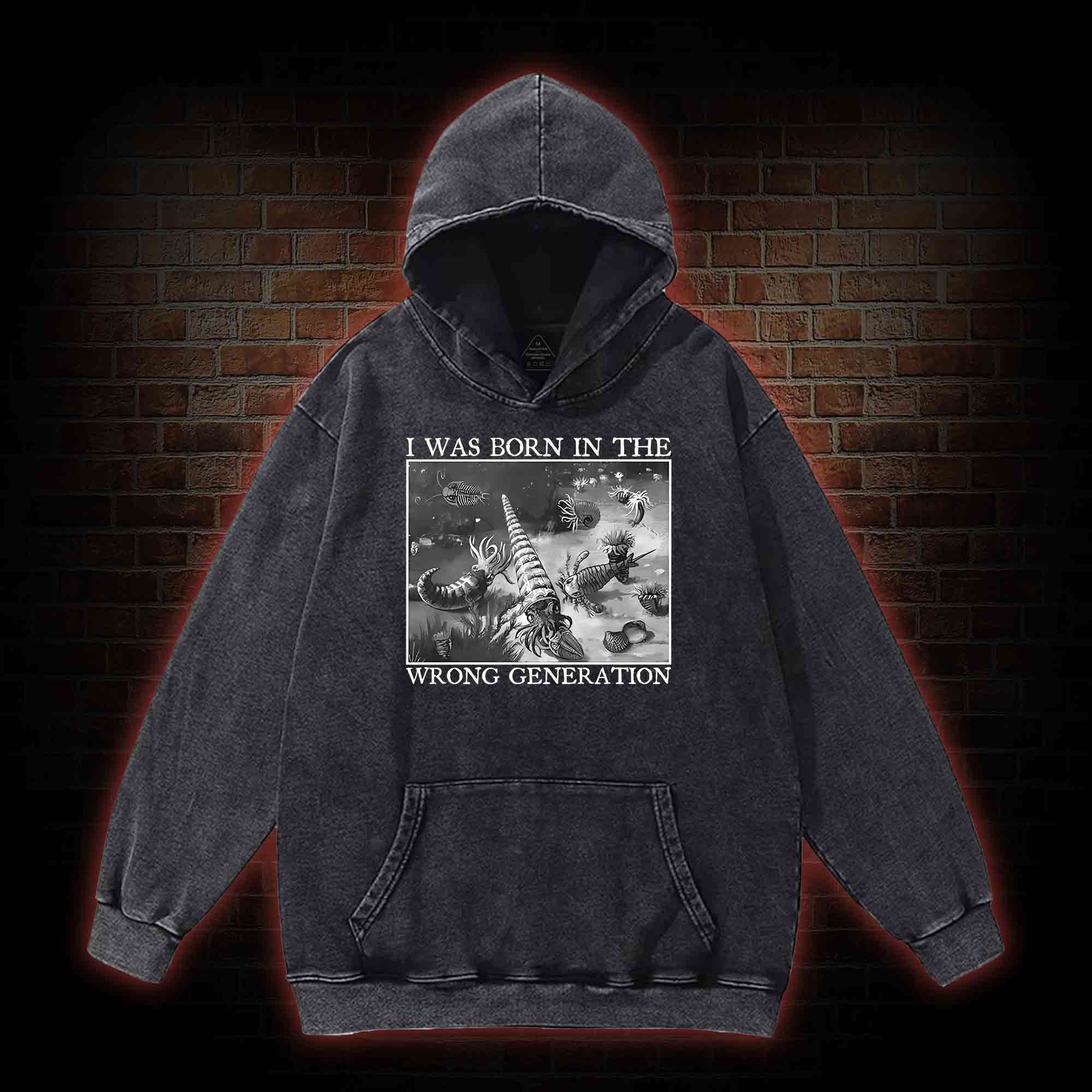 I Was Born In The Wrong Generation Washed Hoodie
