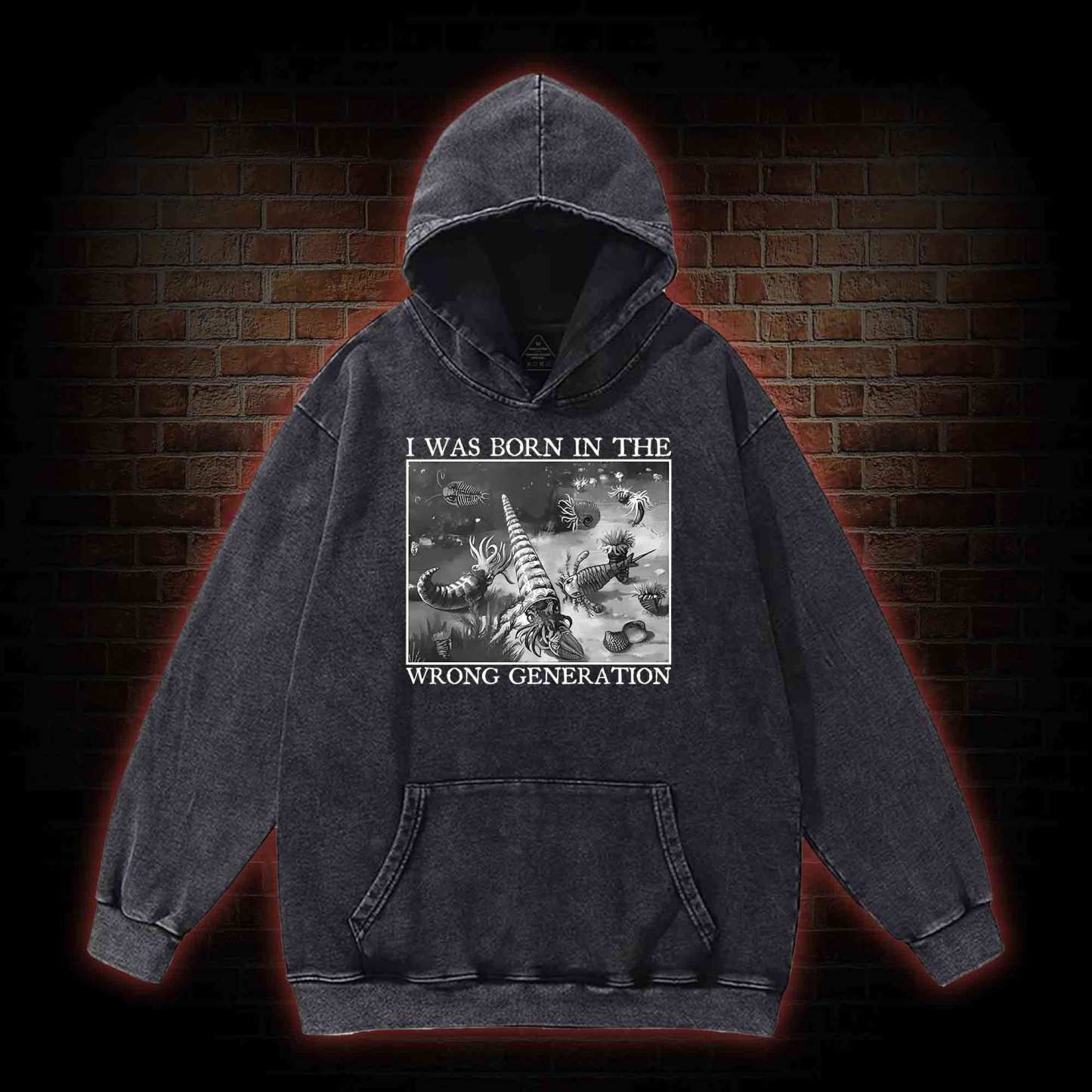 I Was Born In The Wrong Generation Washed Hoodie