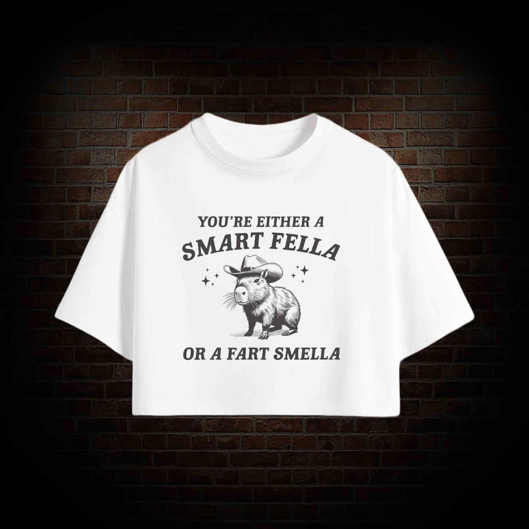 Smart Fella Or Fart Smella Crop Top