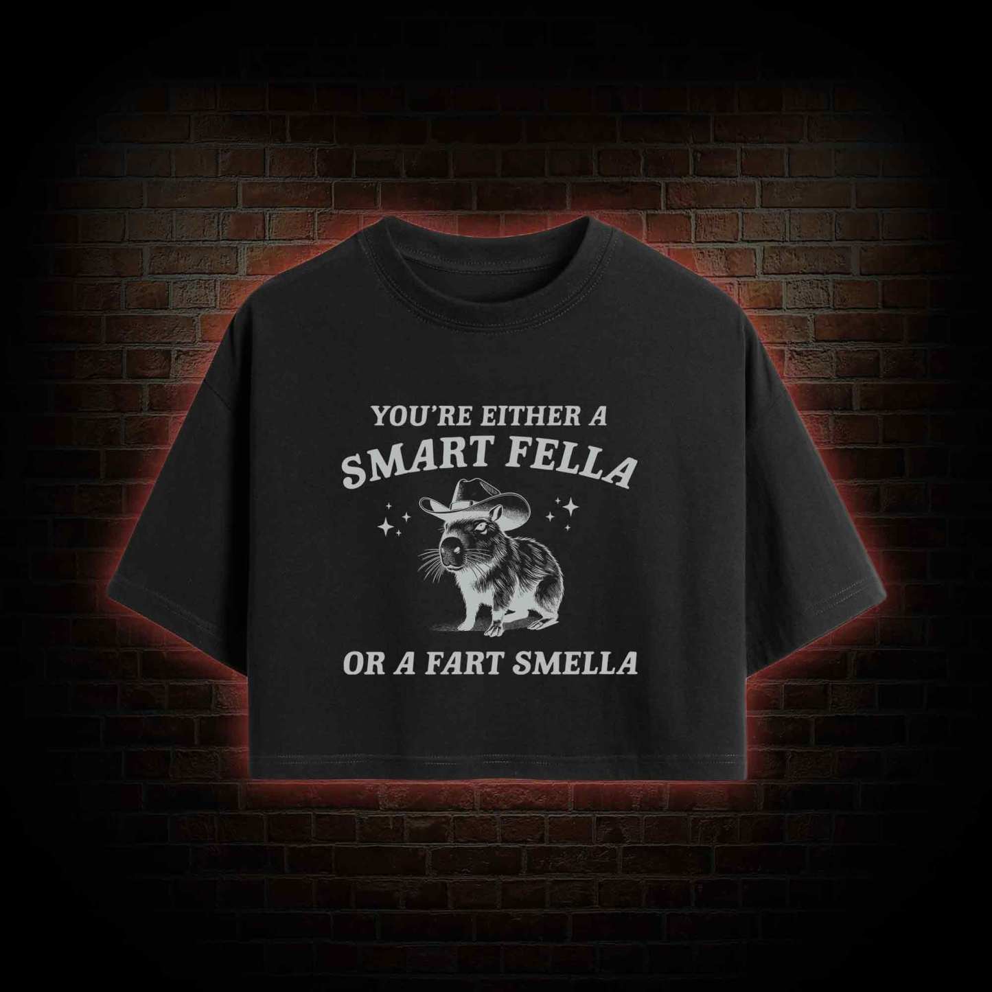 Smart Fella Or Fart Smella Crop Top