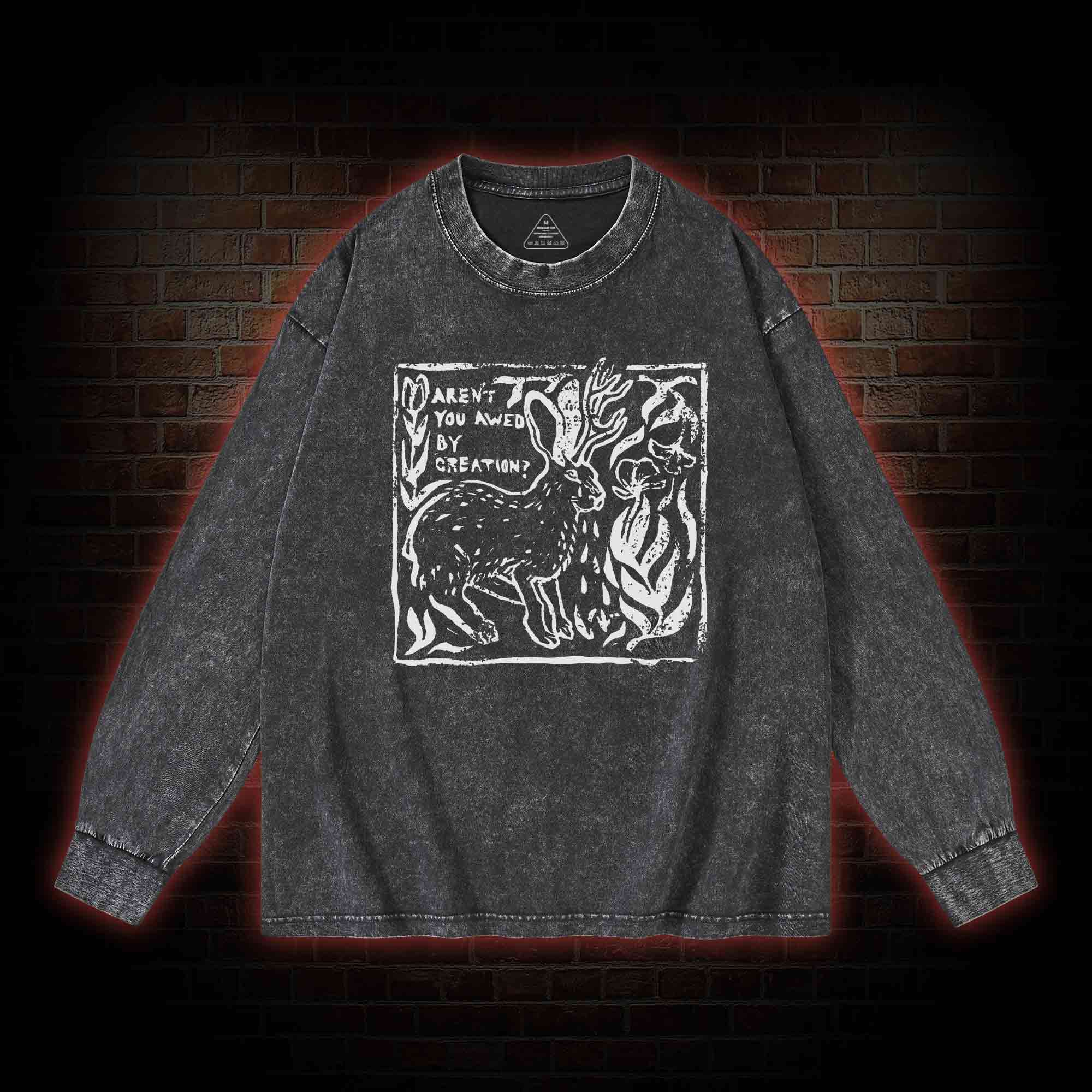 Aren't You Awed by Creation Washed Long-Sleeve T-shirt