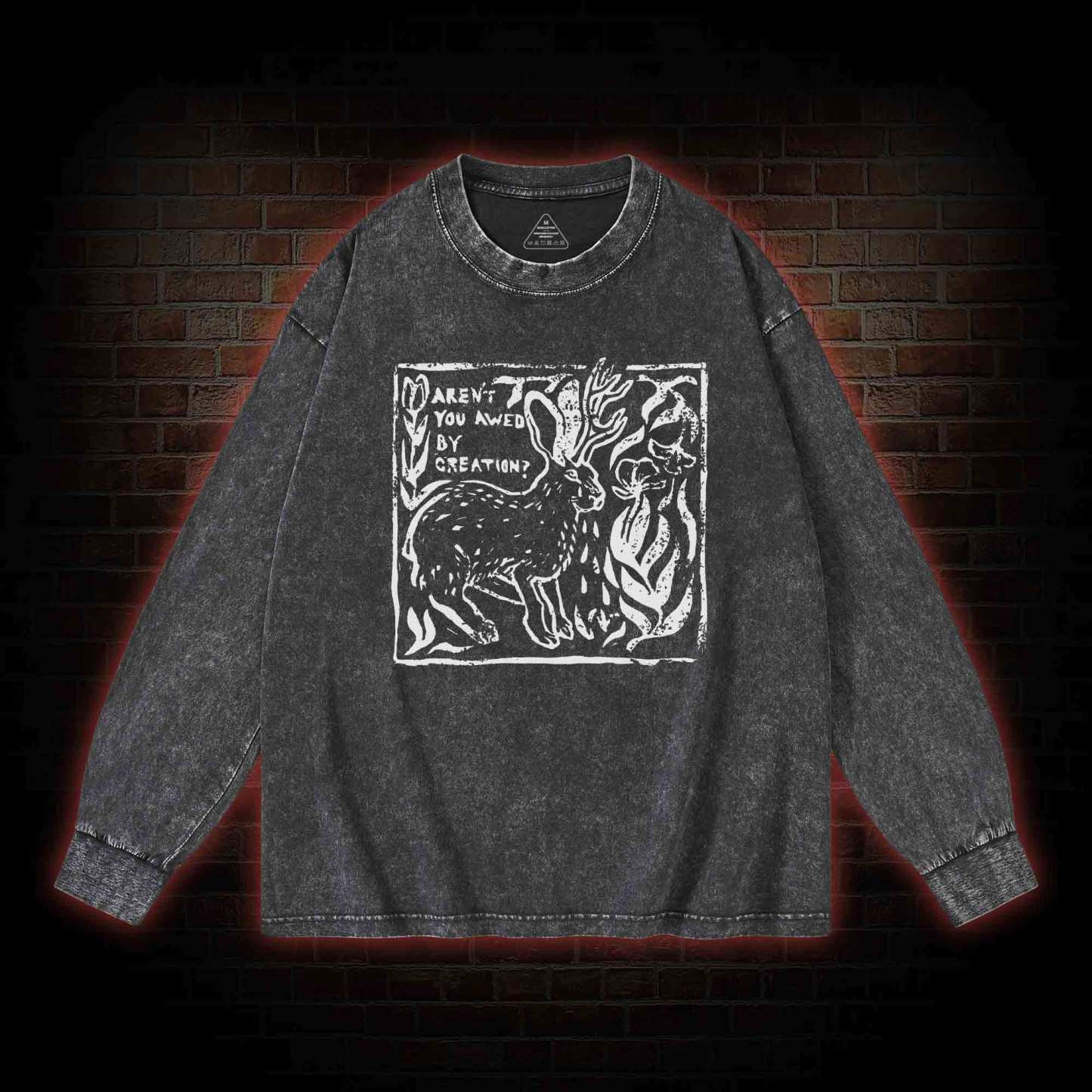 Aren't You Awed by Creation Washed Long-Sleeve T-shirt