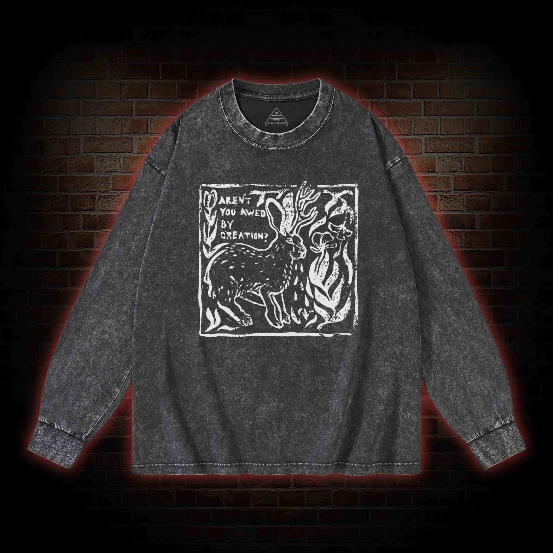 Aren't You Awed by Creation Washed Long-Sleeve T-shirt