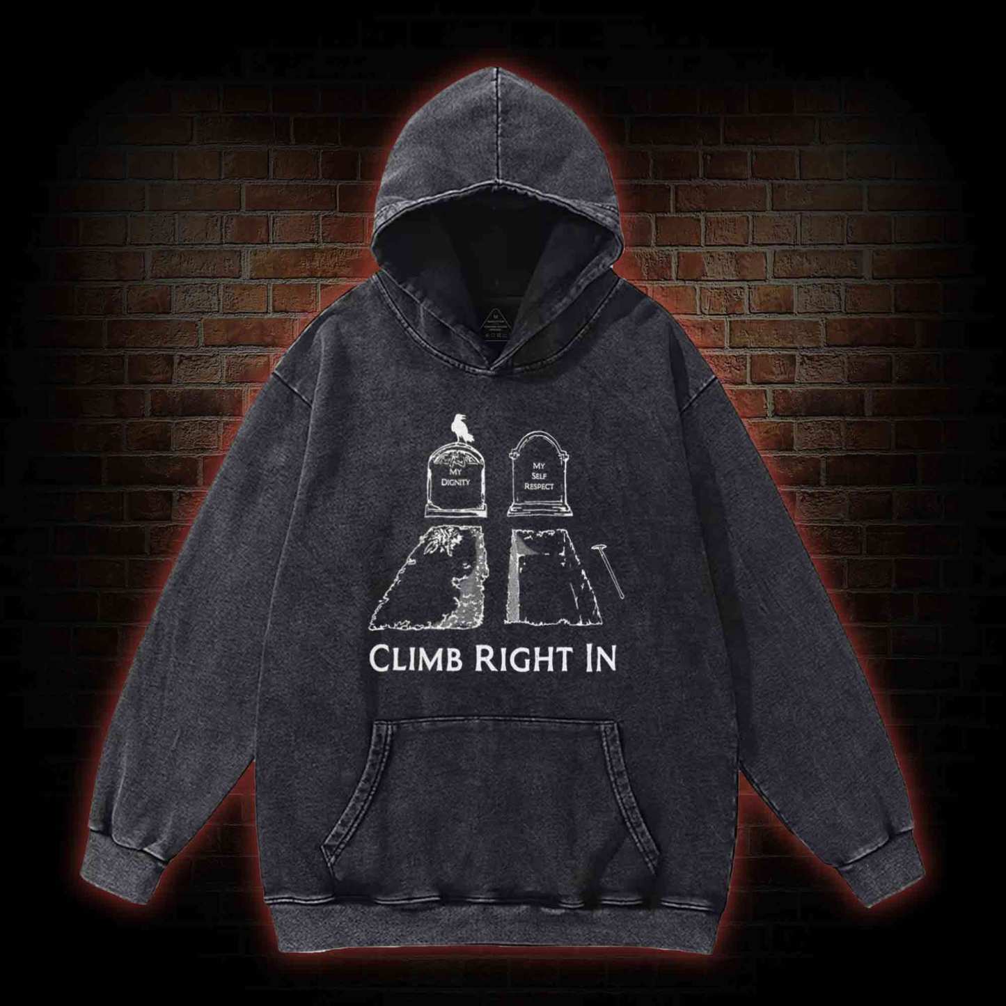 Climb Right in Washed Hoodie