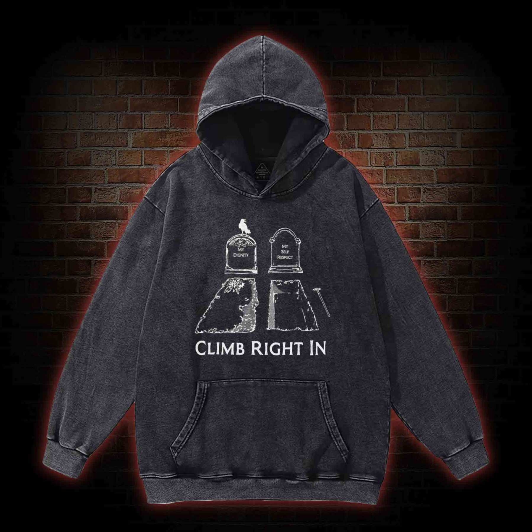 Climb Right in Washed Hoodie