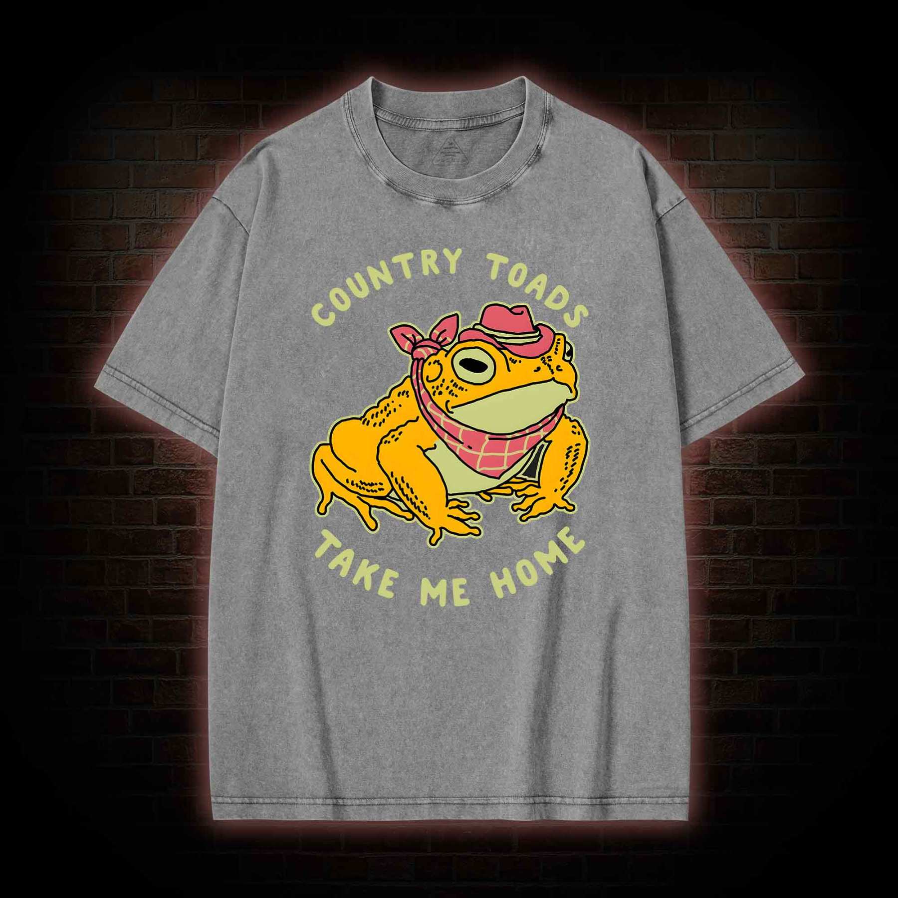 Country Toads Take Me Home Washed T-shirt