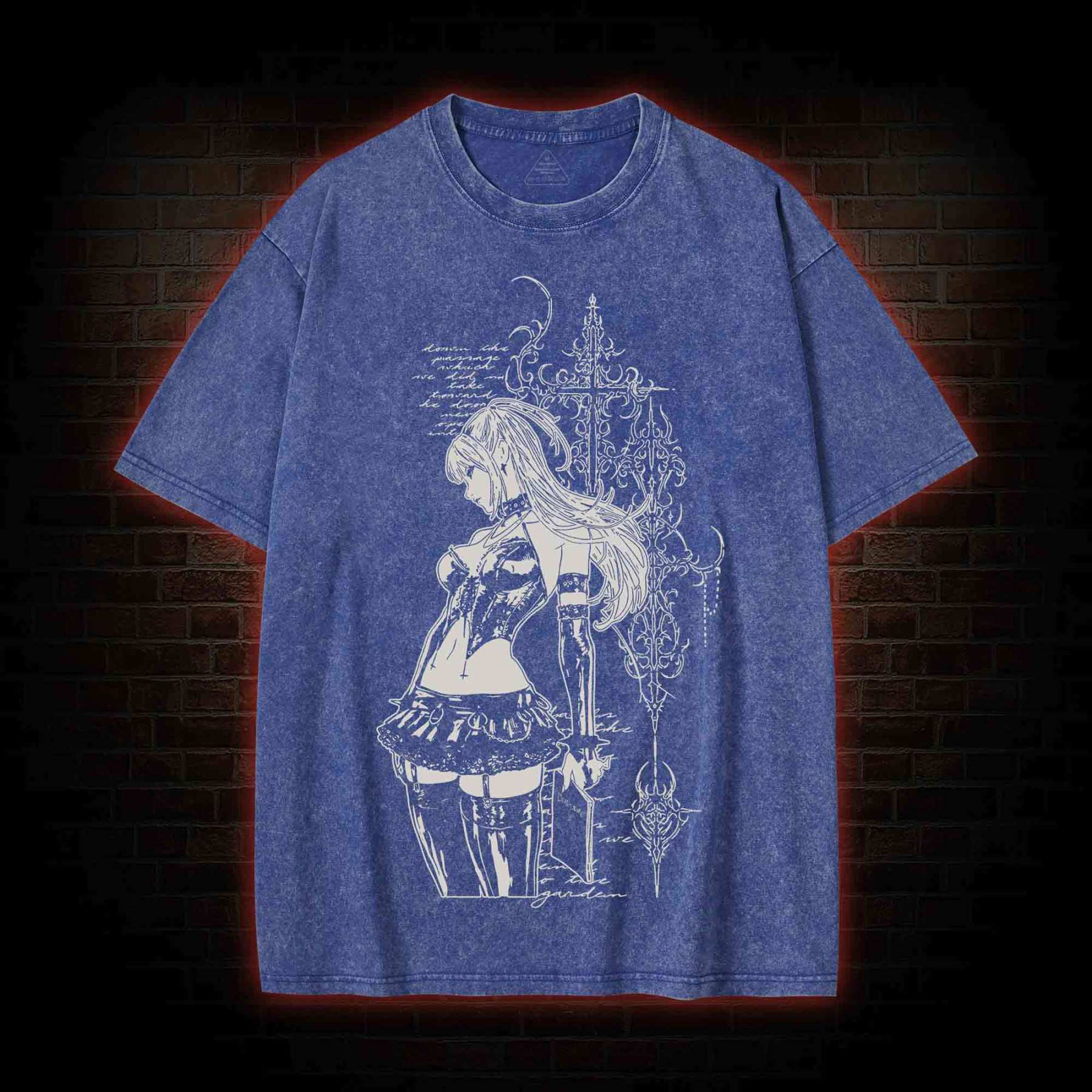 Aspire to Life Goals Washed T-shirt