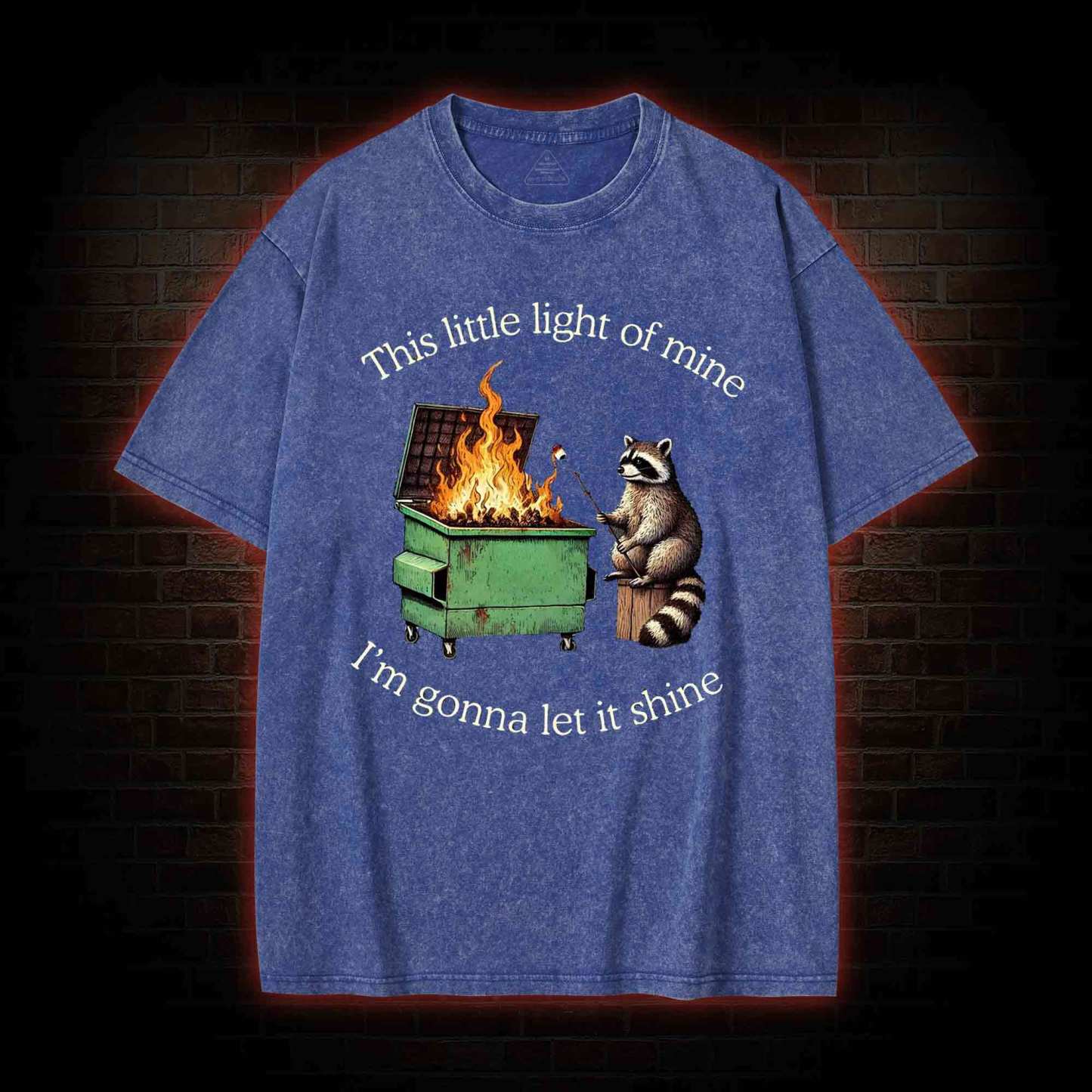 Dumpster Fire Raccoon Washed T-shirt
