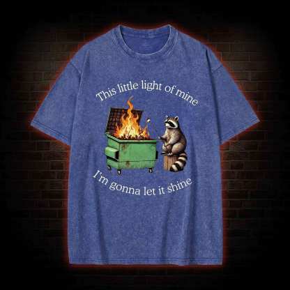 Dumpster Fire Raccoon Washed T-shirt