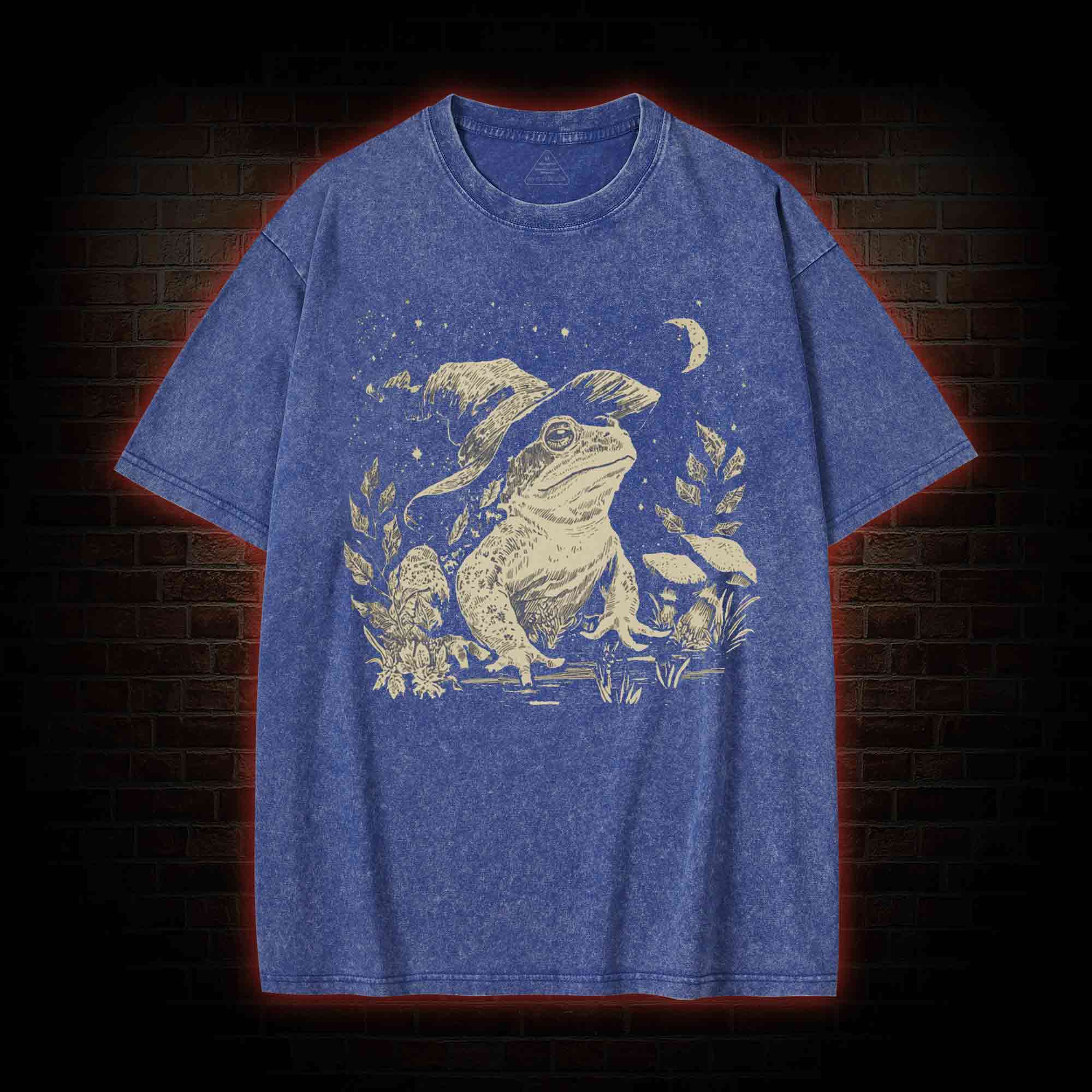Witchy Frog Washed T-shirt