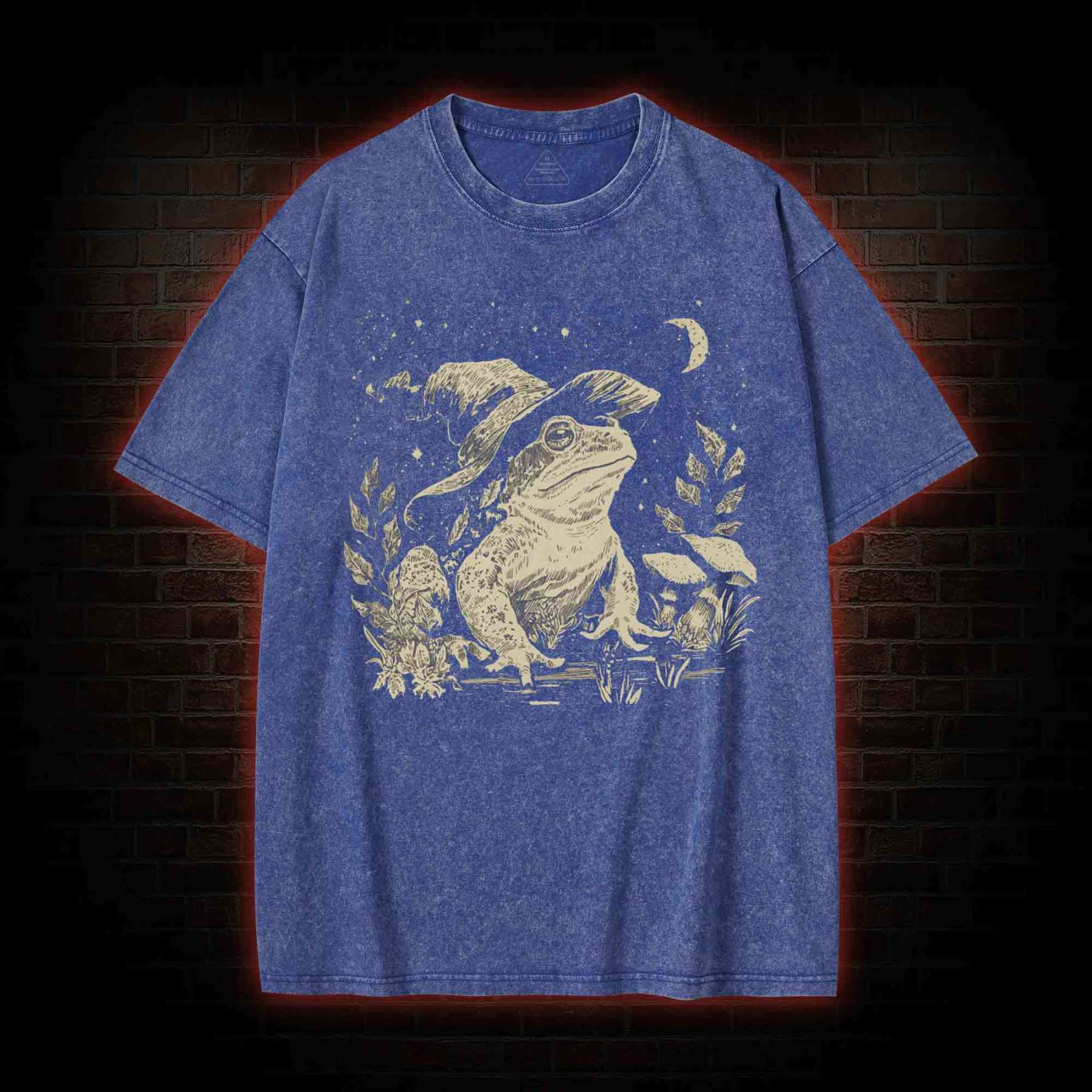 Witchy Frog Washed T-shirt