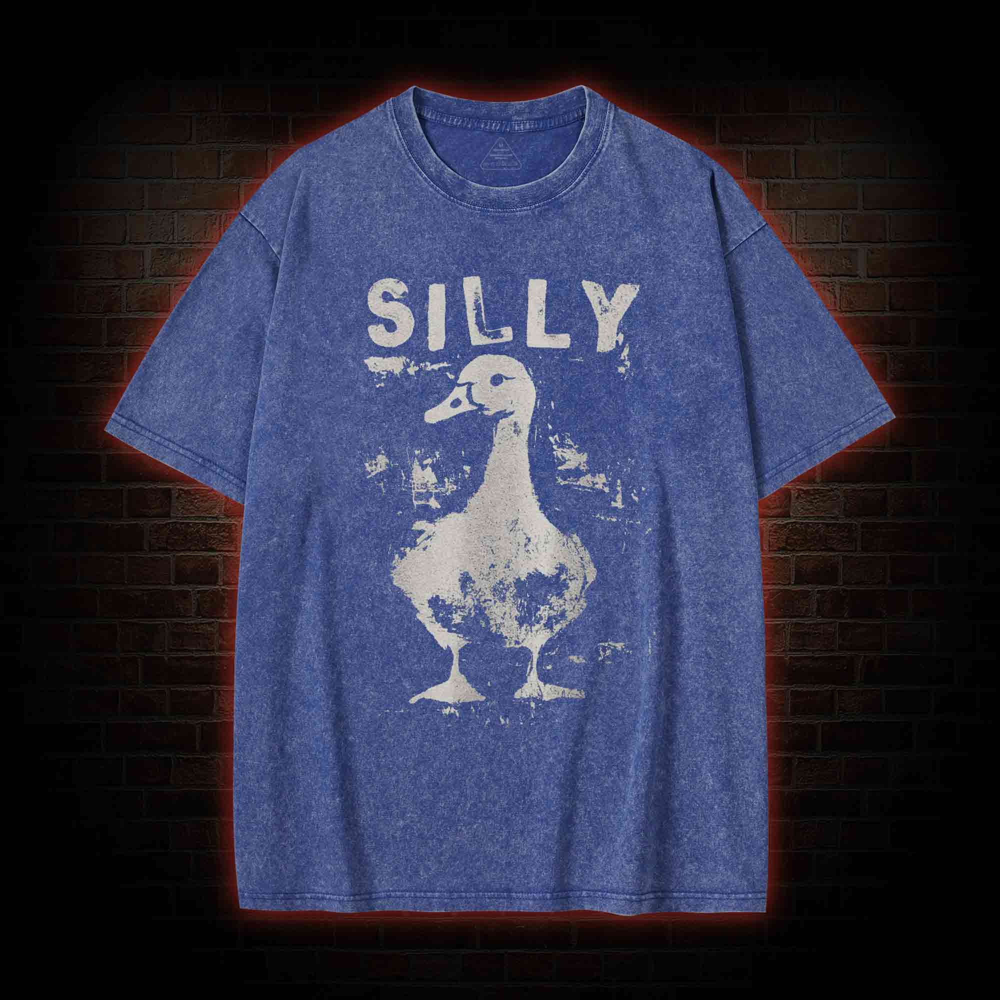 Silly Goose Washed T-shirt