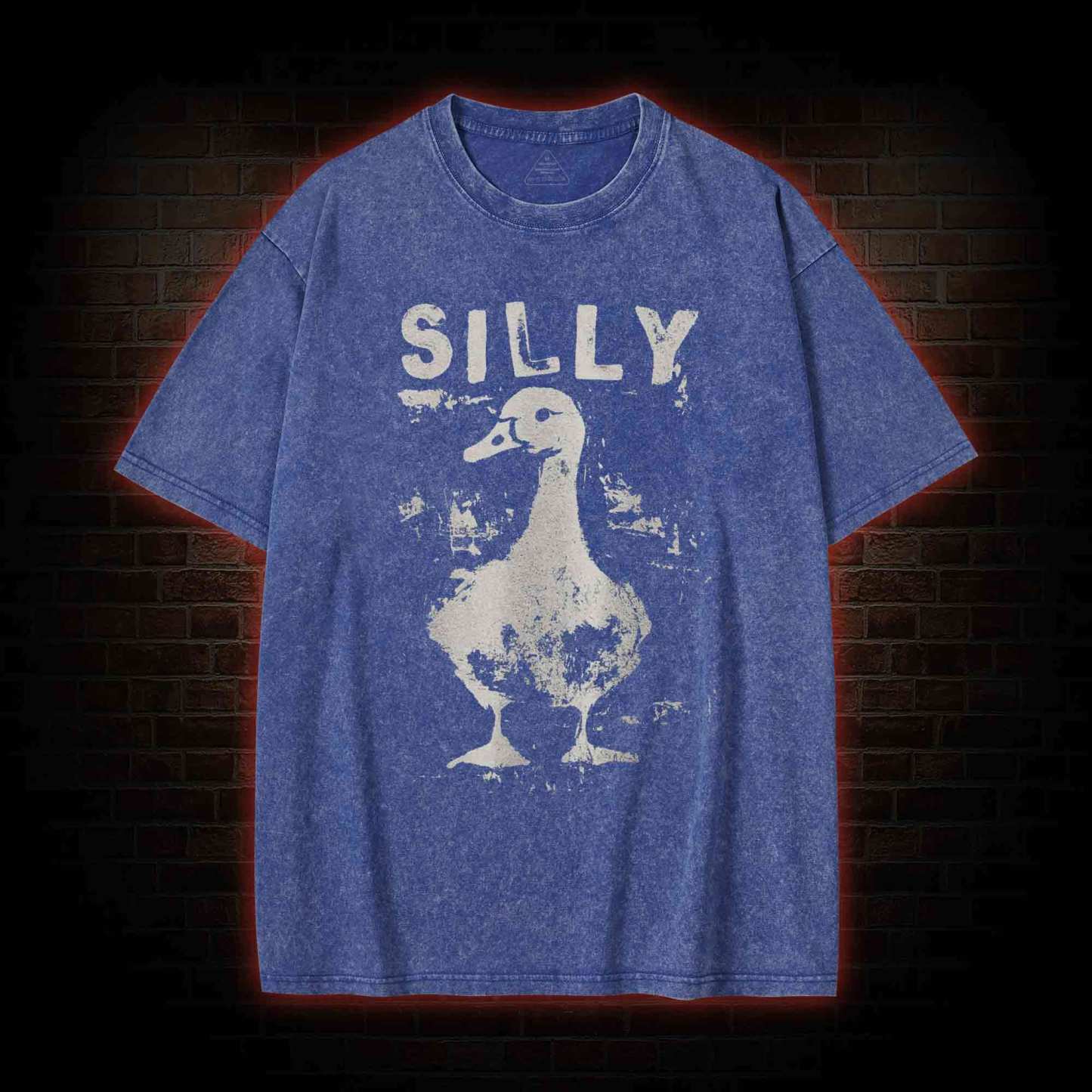 Silly Goose Washed T-shirt