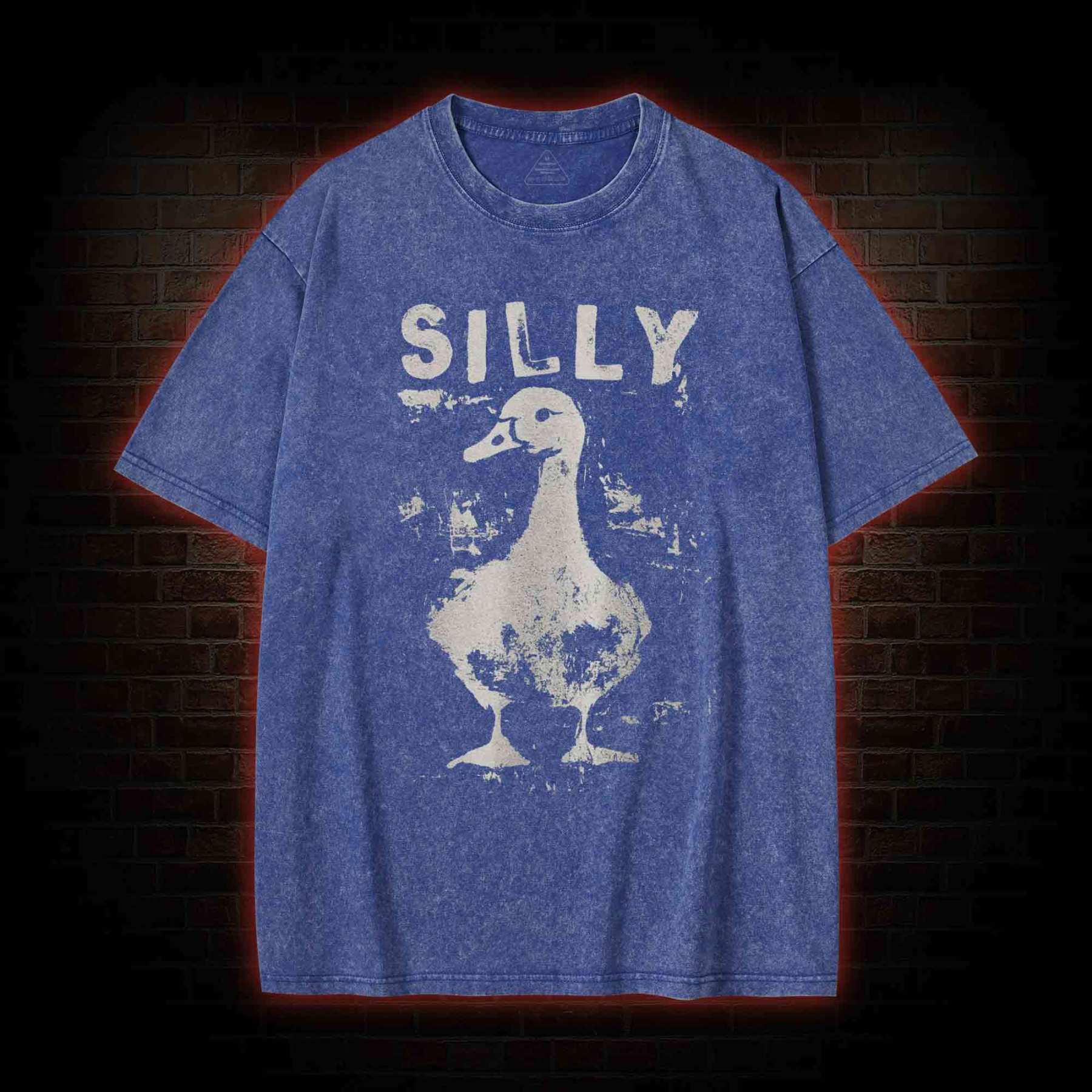 Silly Goose Washed T-shirt
