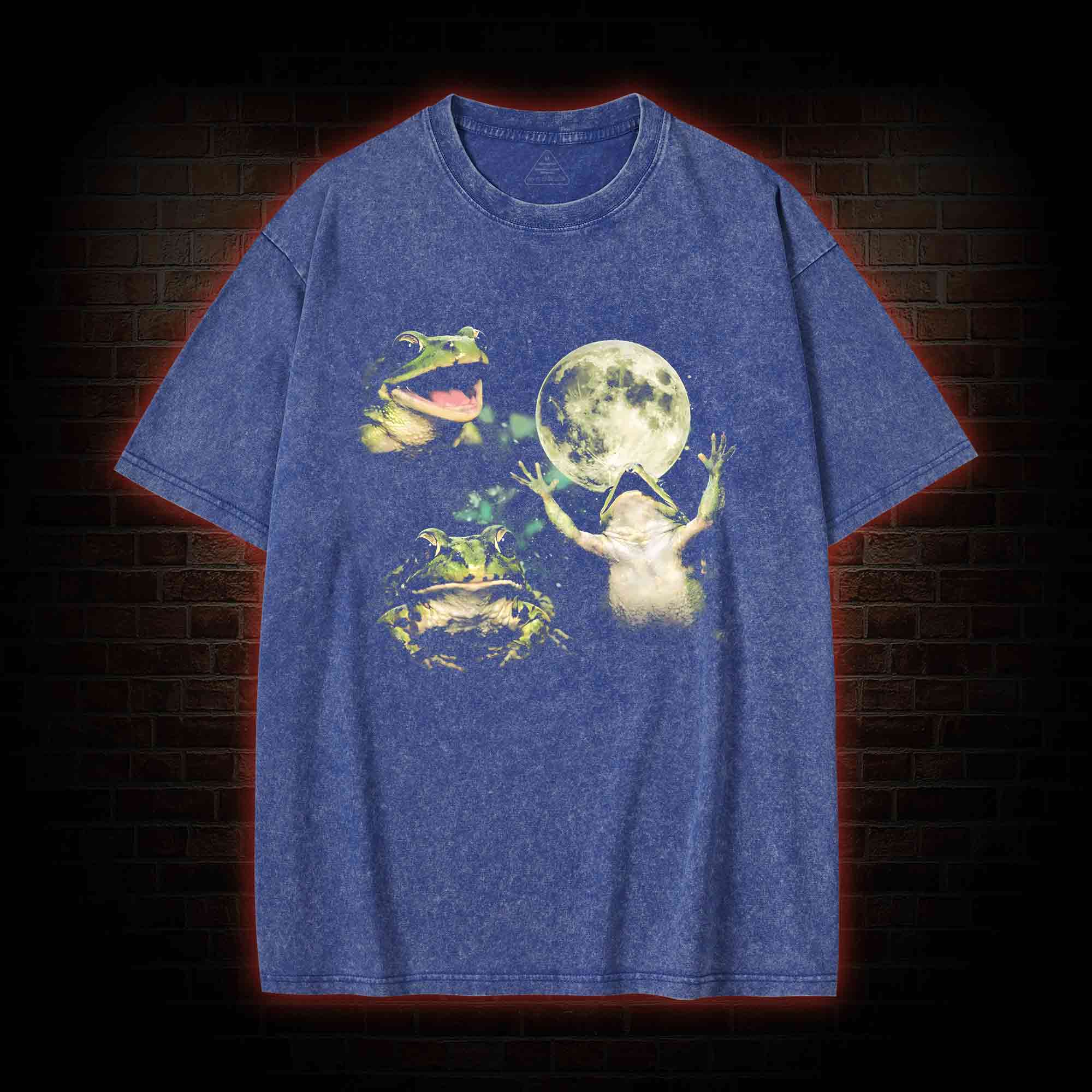 Frog Moon Washed T-shirt