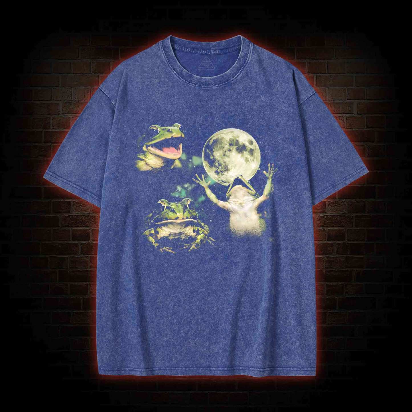 Frog Moon Washed T-shirt