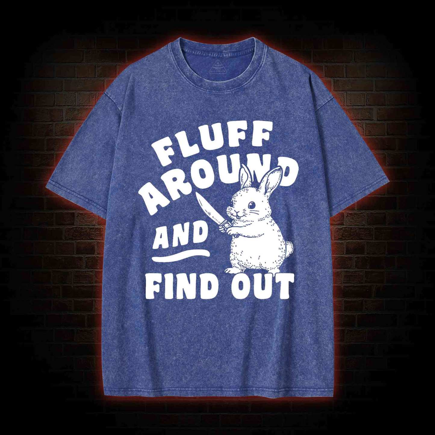 Fluff Around and Find Out Washed T-shirt