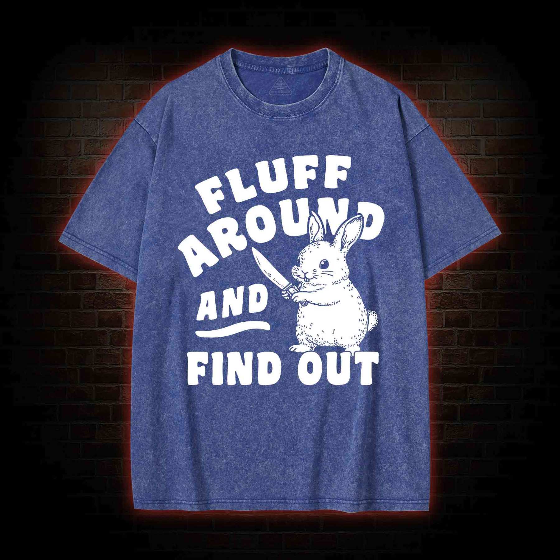 Fluff Around and Find Out Washed T-shirt