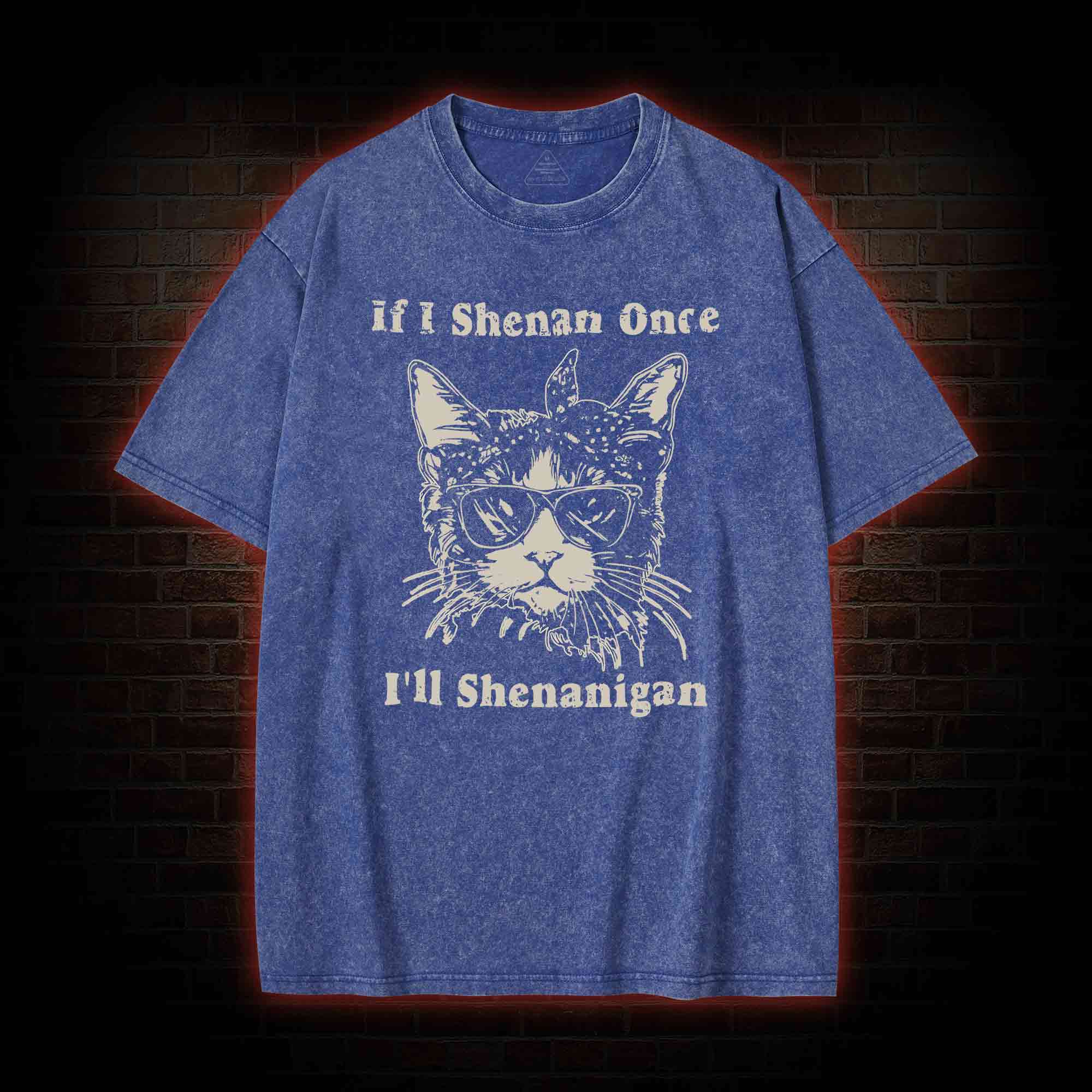 If I Shenan Once I'll Shenanigan Washed T-shirt
