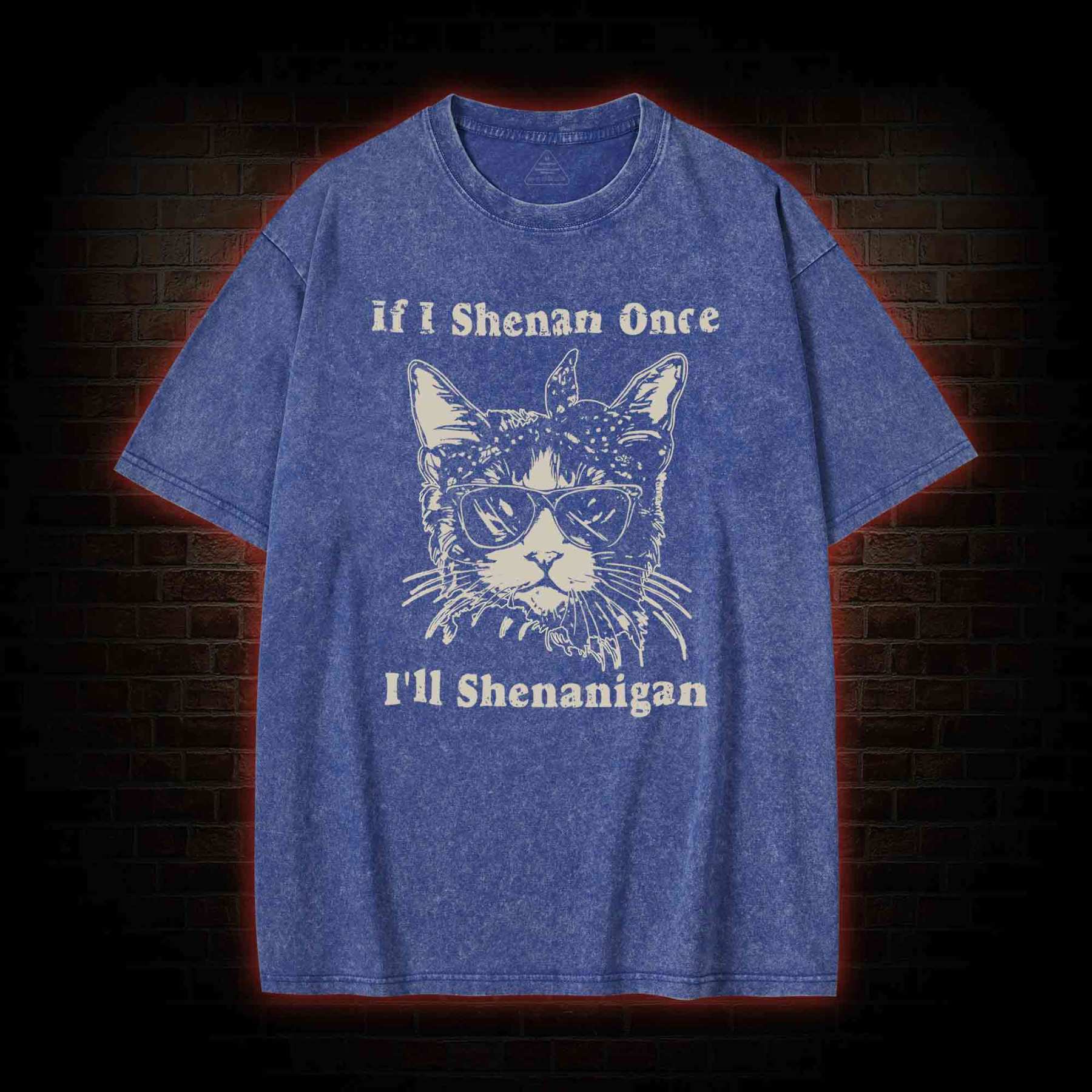If I Shenan Once I'll Shenanigan Washed T-shirt