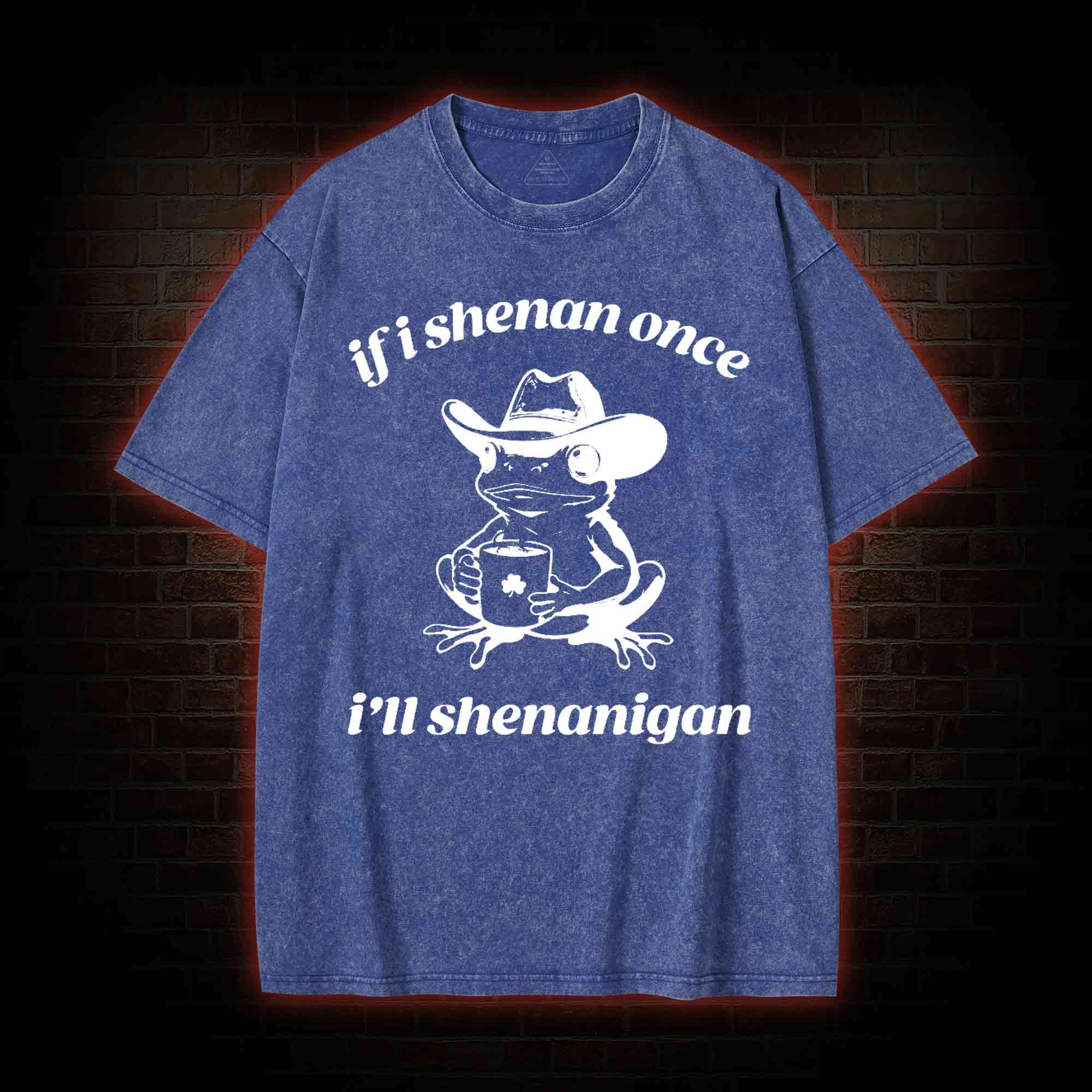 If I Shenan Once I'll Shenanigan Washed T-shirt