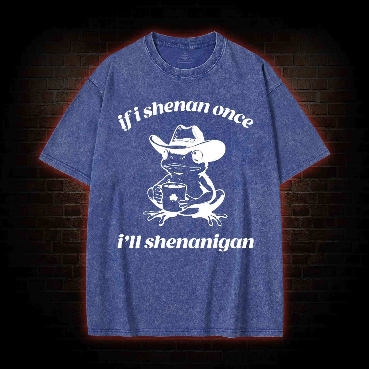 If I Shenan Once I'll Shenanigan Washed T-shirt