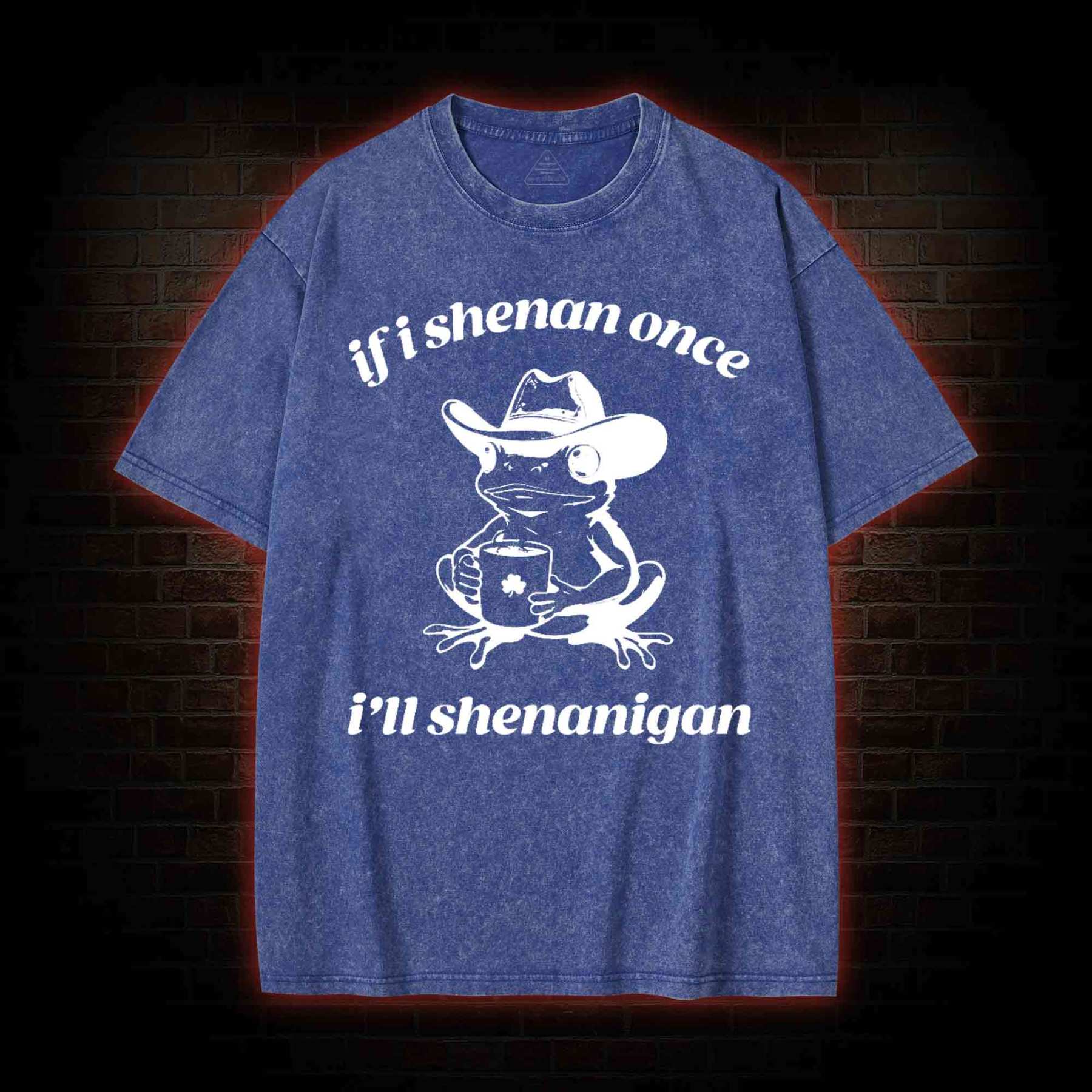 If I Shenan Once I'll Shenanigan Washed T-shirt