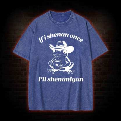 If I Shenan Once I'll Shenanigan Washed T-shirt