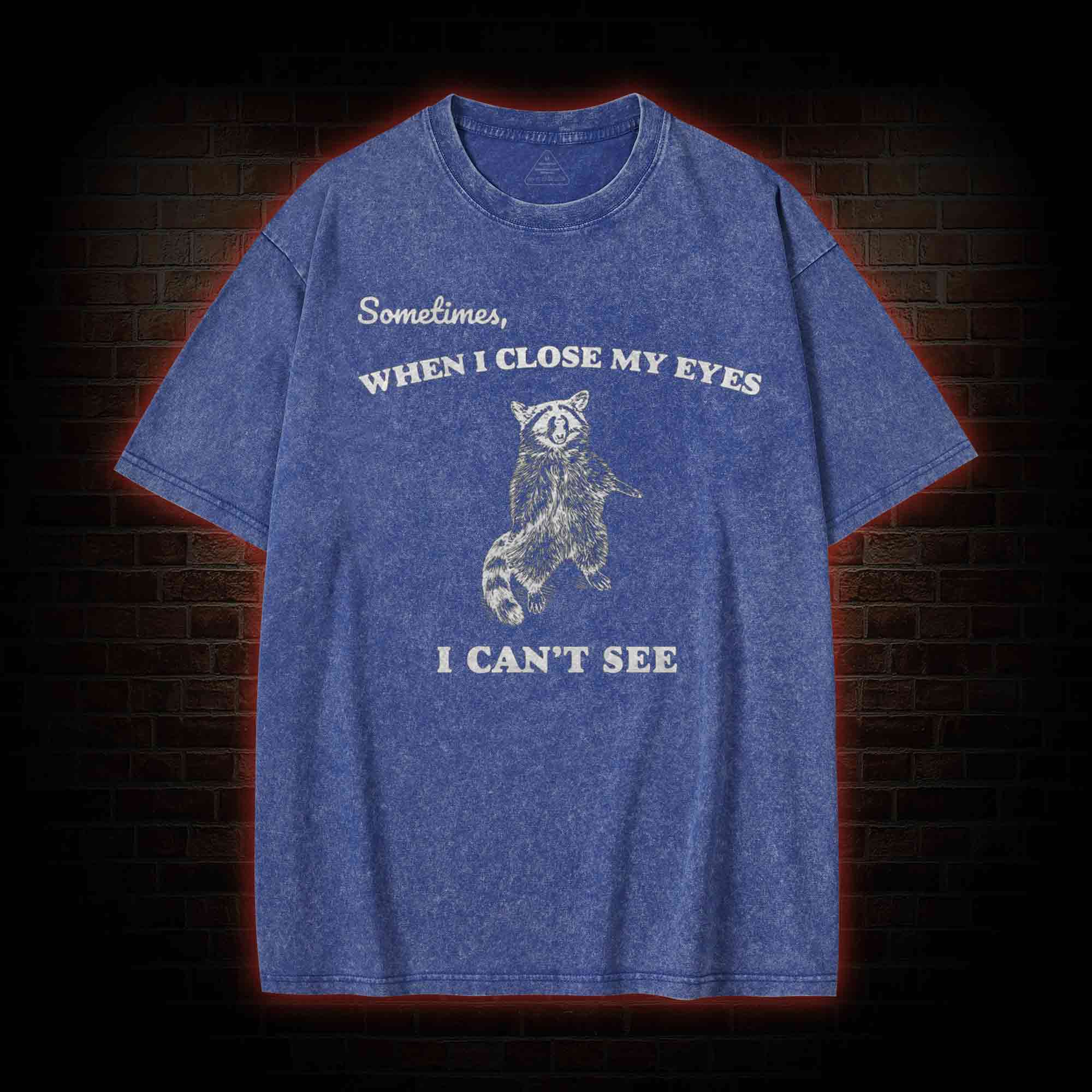 Sometimes When I Close My Eyes I Can't See Washed T-shirt
