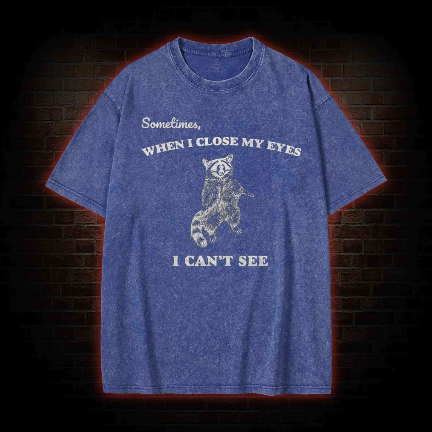 Sometimes When I Close My Eyes I Can't See Washed T-shirt