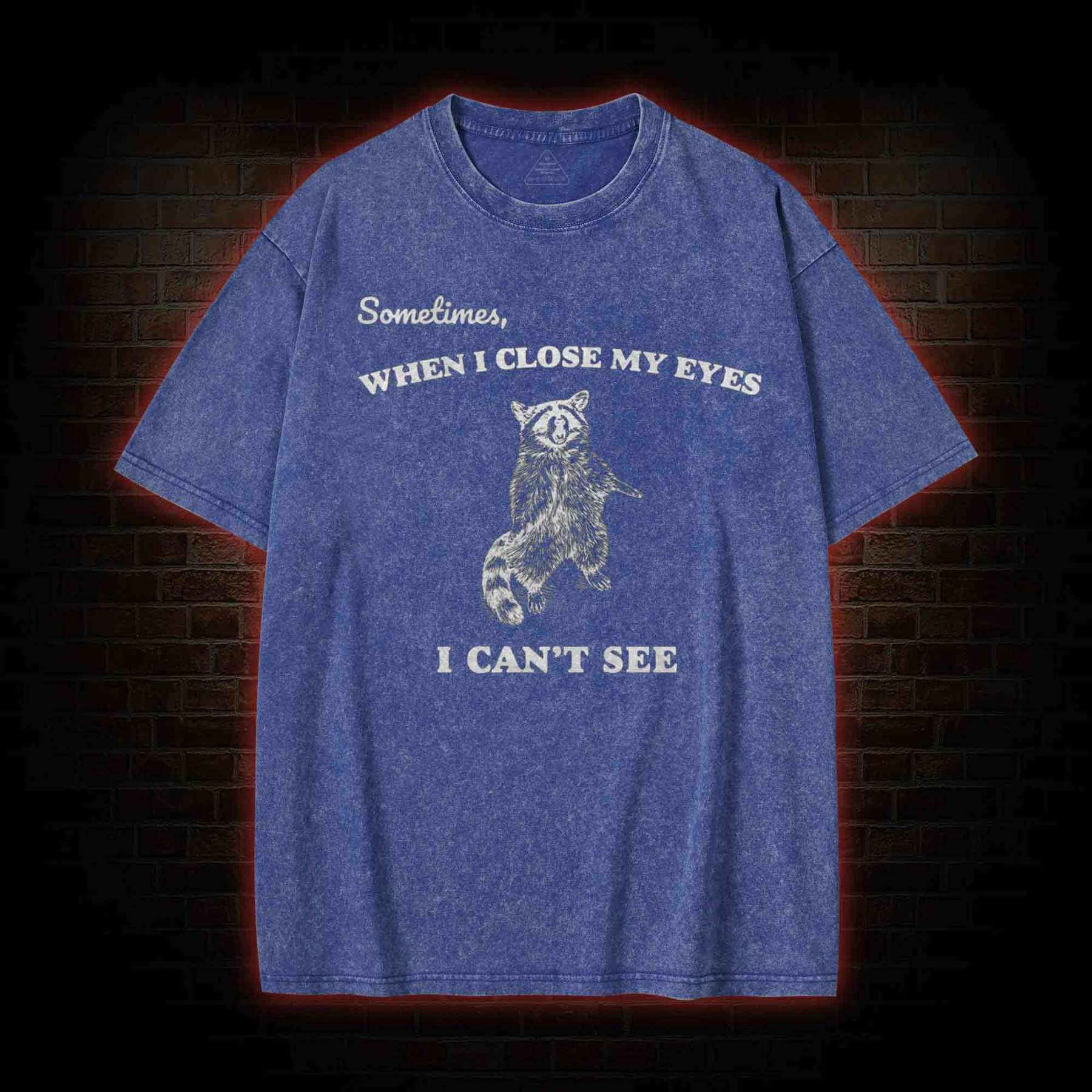 Sometimes When I Close My Eyes I Can't See Washed T-shirt