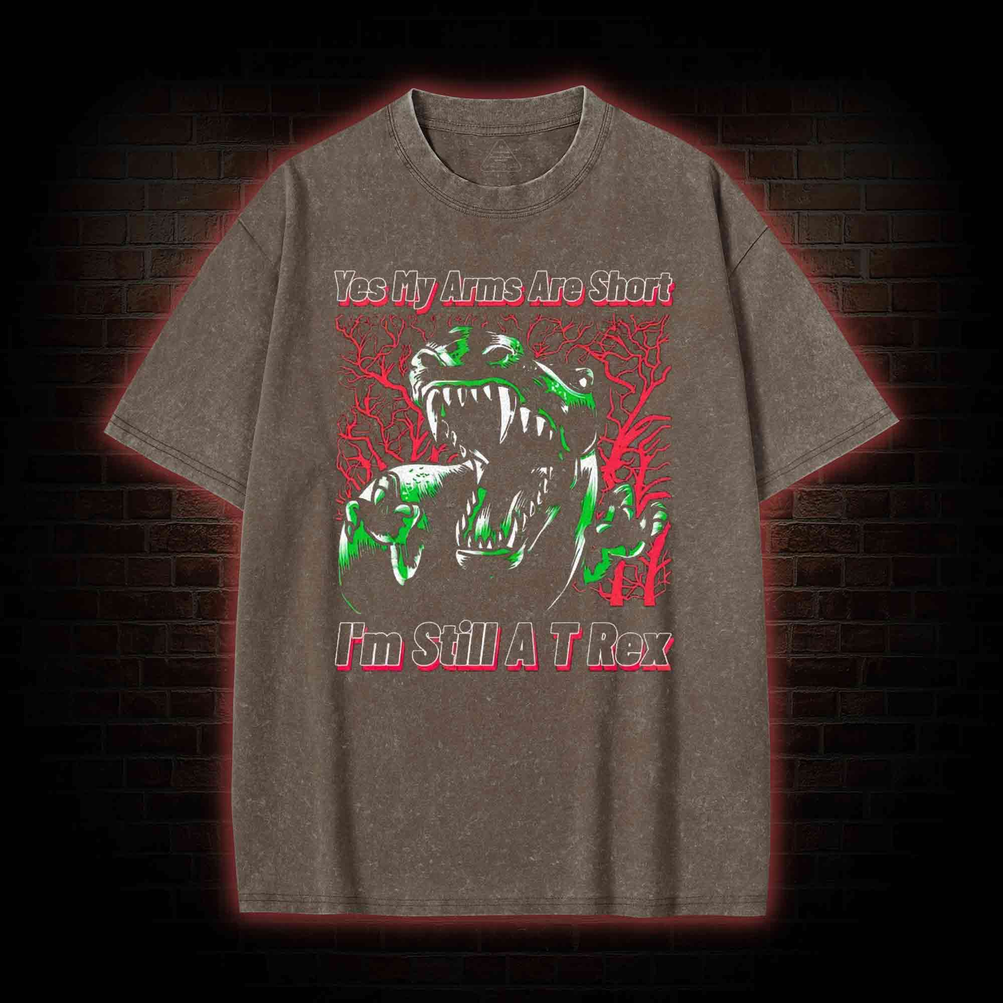 Spinosaurus Washed T-shirt