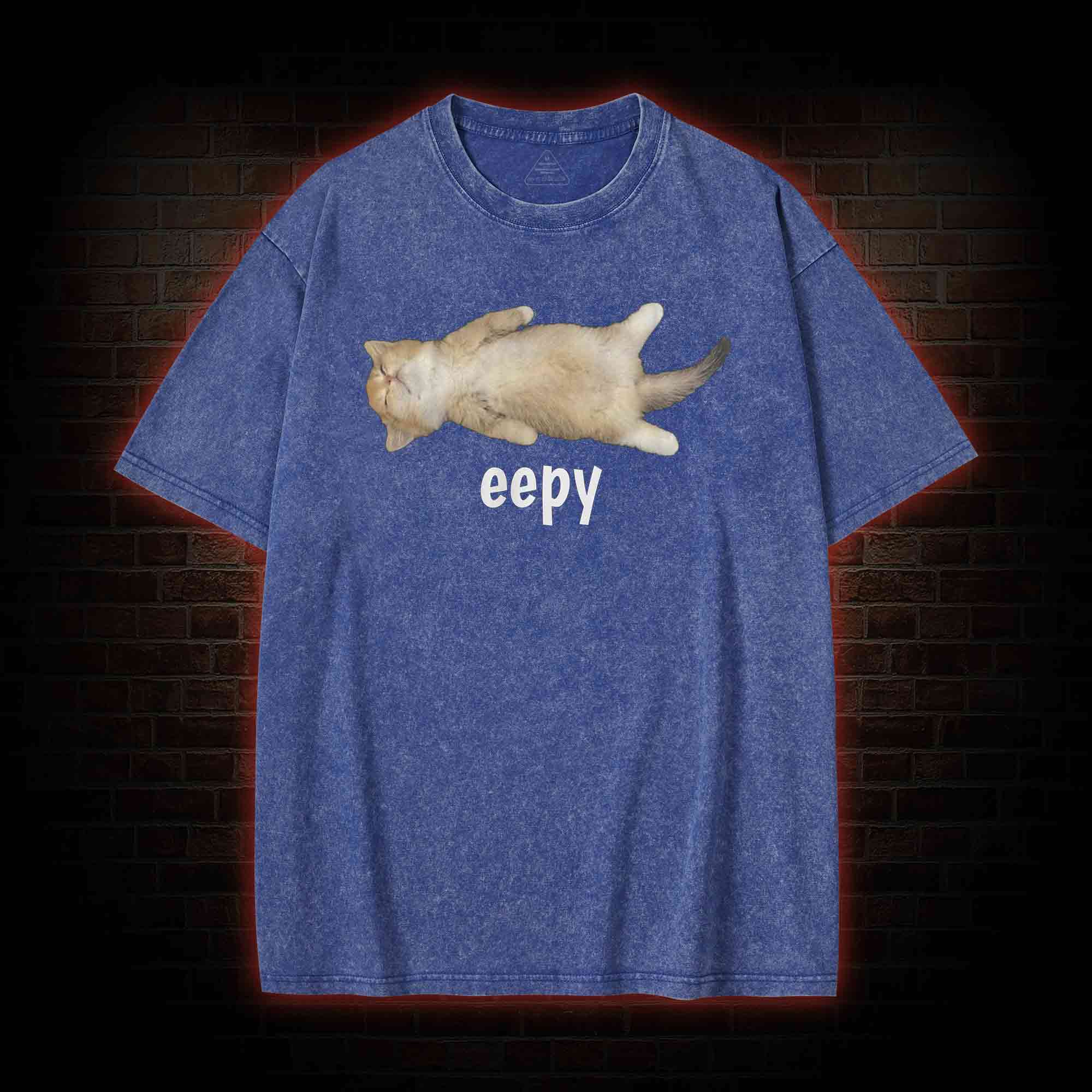 Silly Sleepy Cat Washed T-shirt
