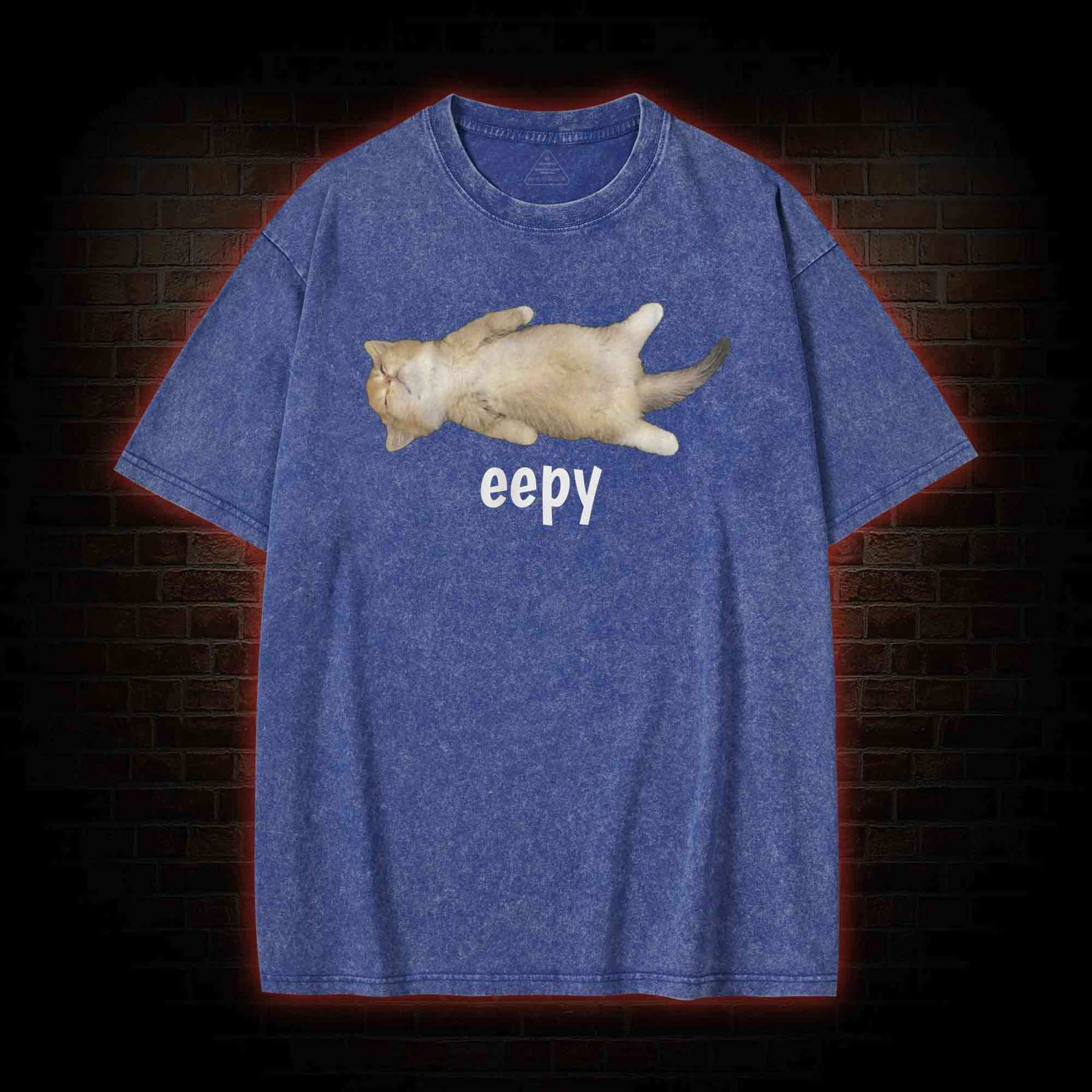 Silly Sleepy Cat Washed T-shirt