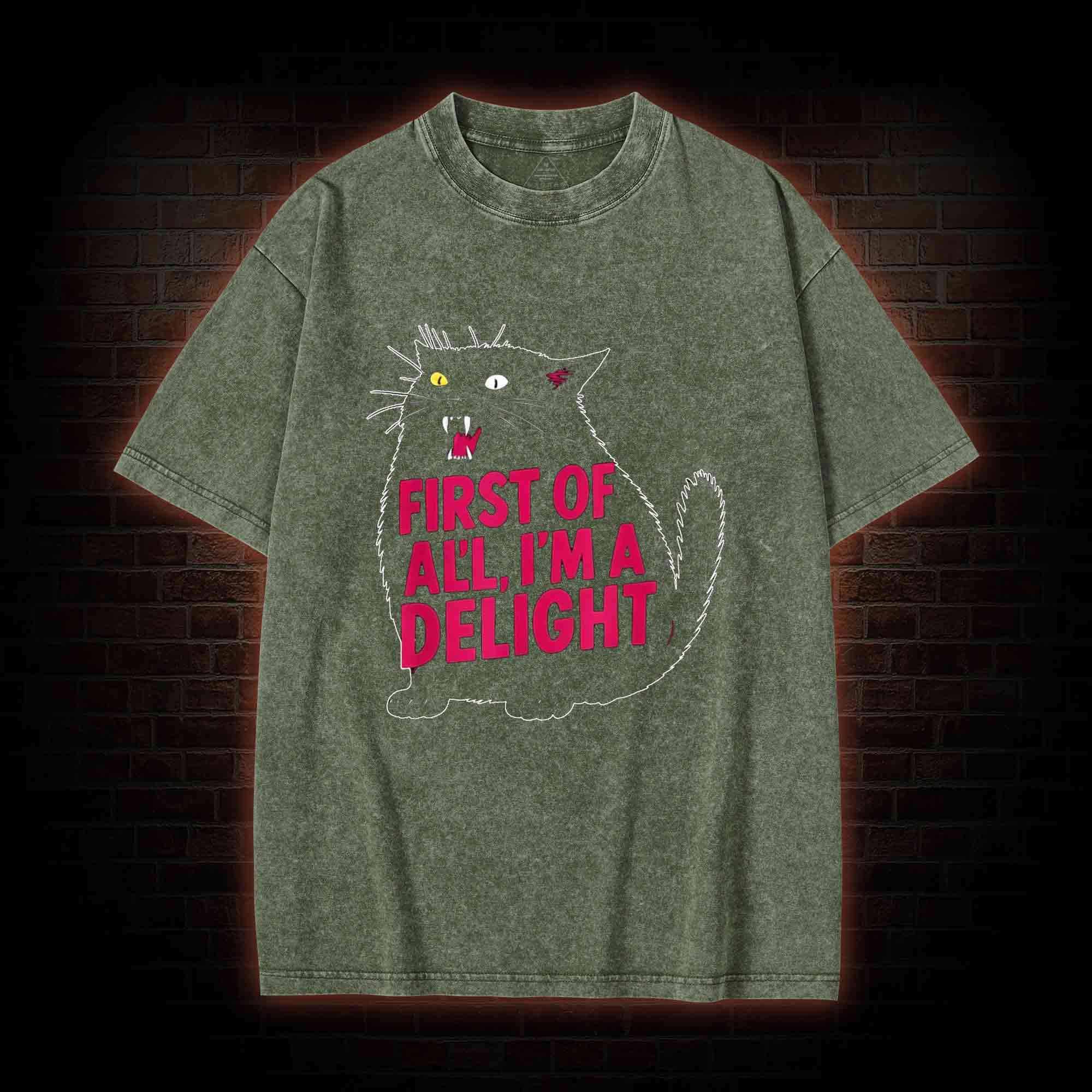 First of all I’m a Delight Washed T-shirt