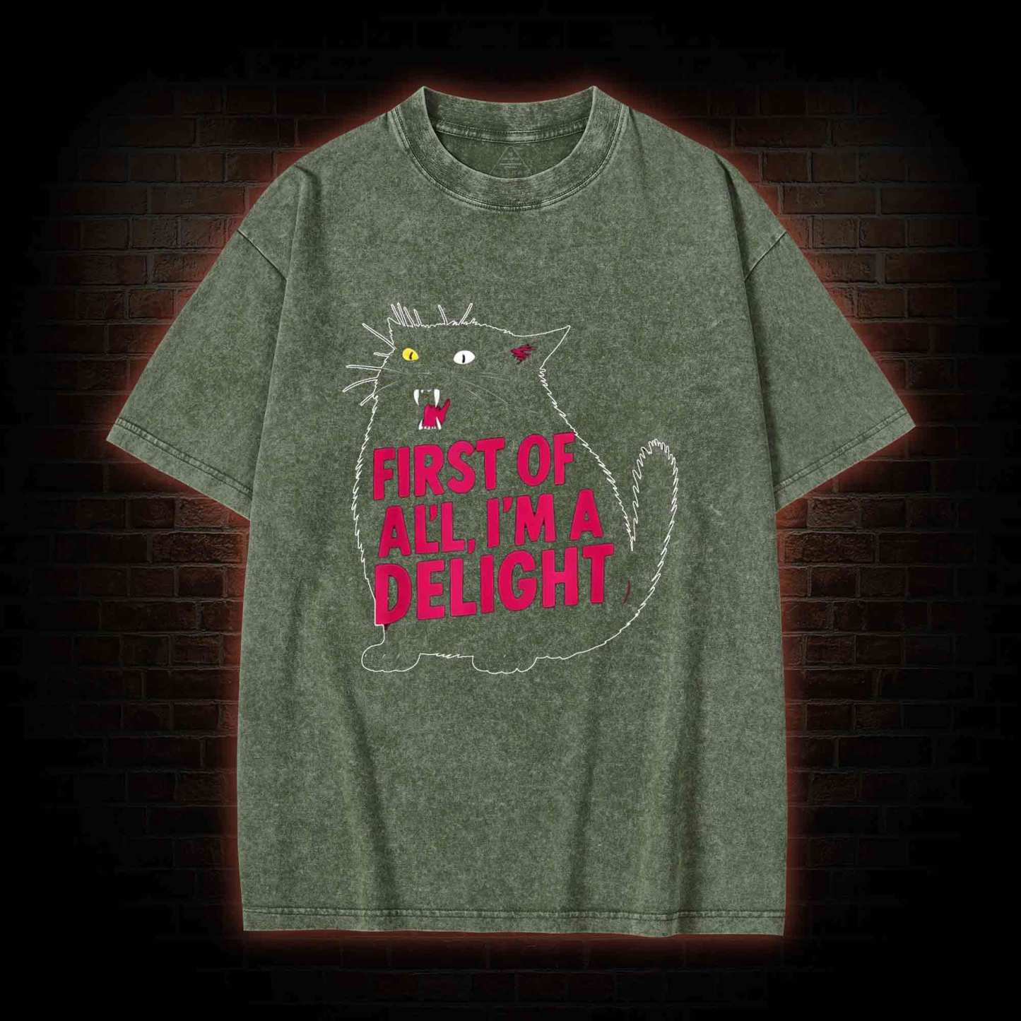 First of all I’m a Delight Washed T-shirt