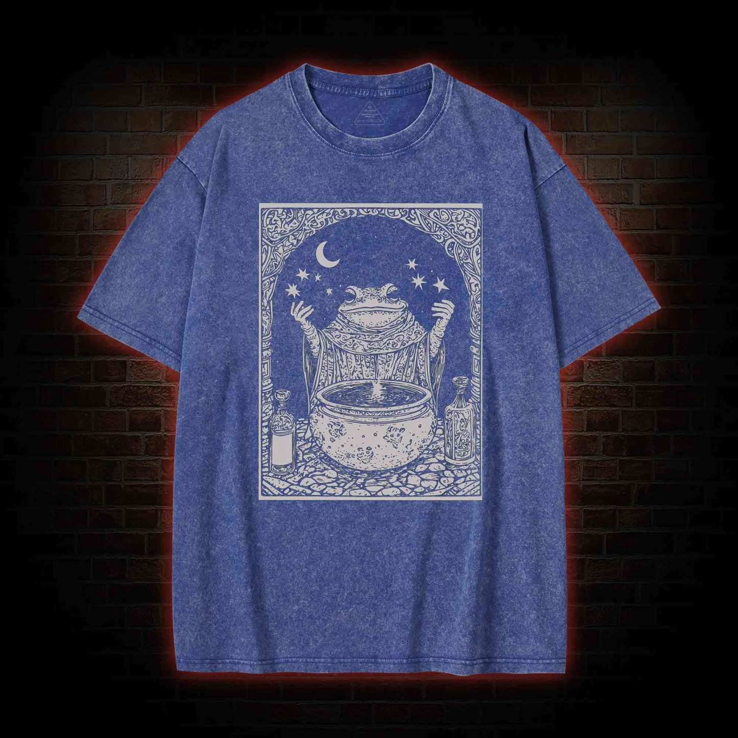 Frog Wizard Washed T-shirt